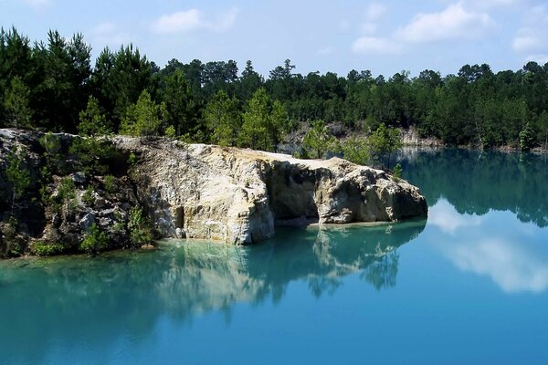 Alberi ad alto fusto nella foresta con il lago e pietre meravigliose sulle rocce