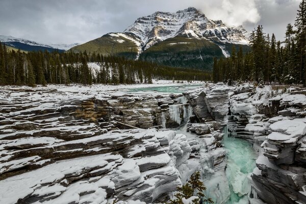 A river in Jasper National Park