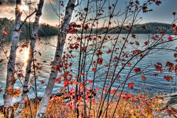 Foto della natura autunnale e del fiume