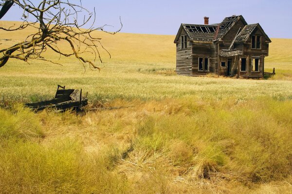 Abandoned wooden house in the field