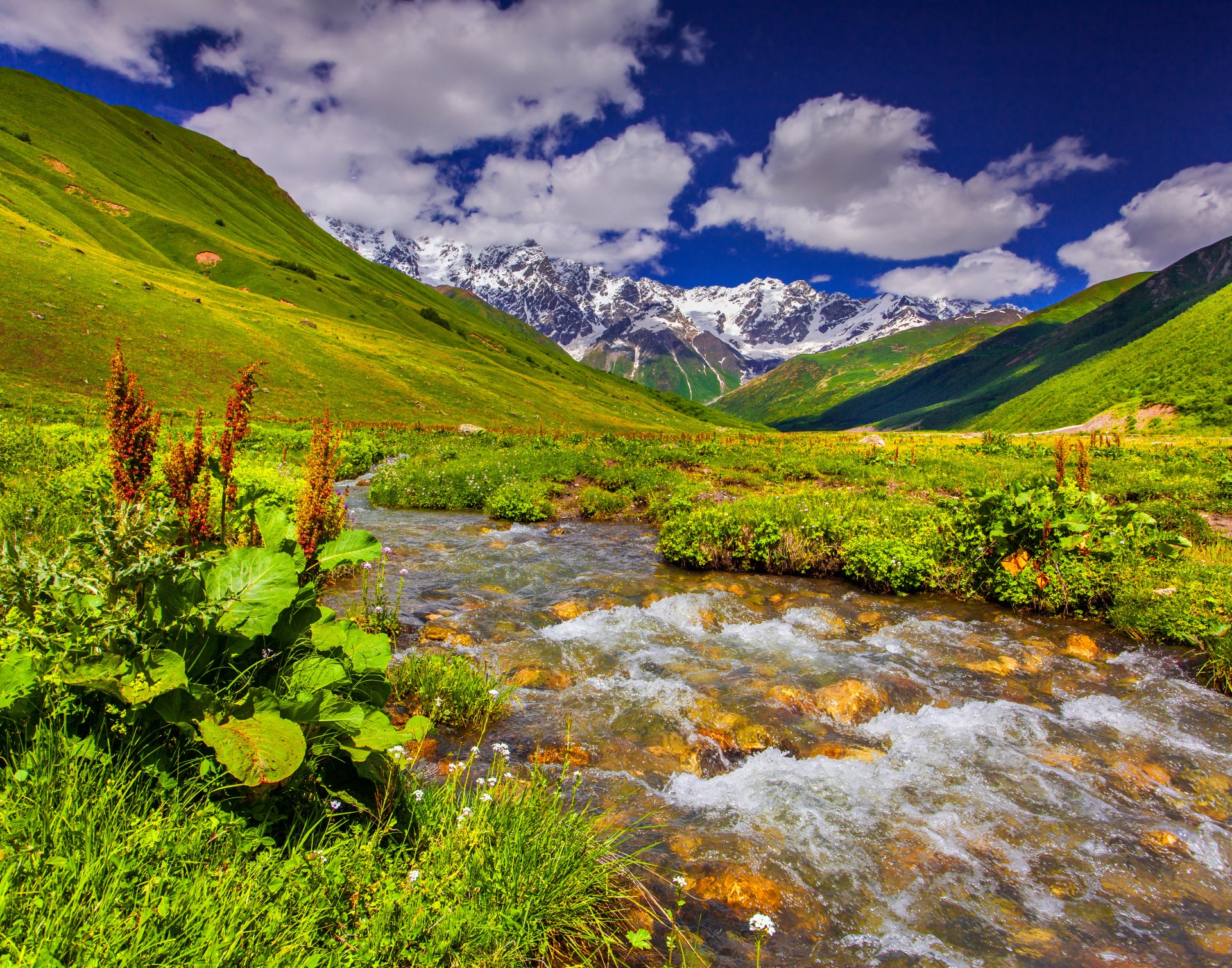 nature landscape river sky grass meadow