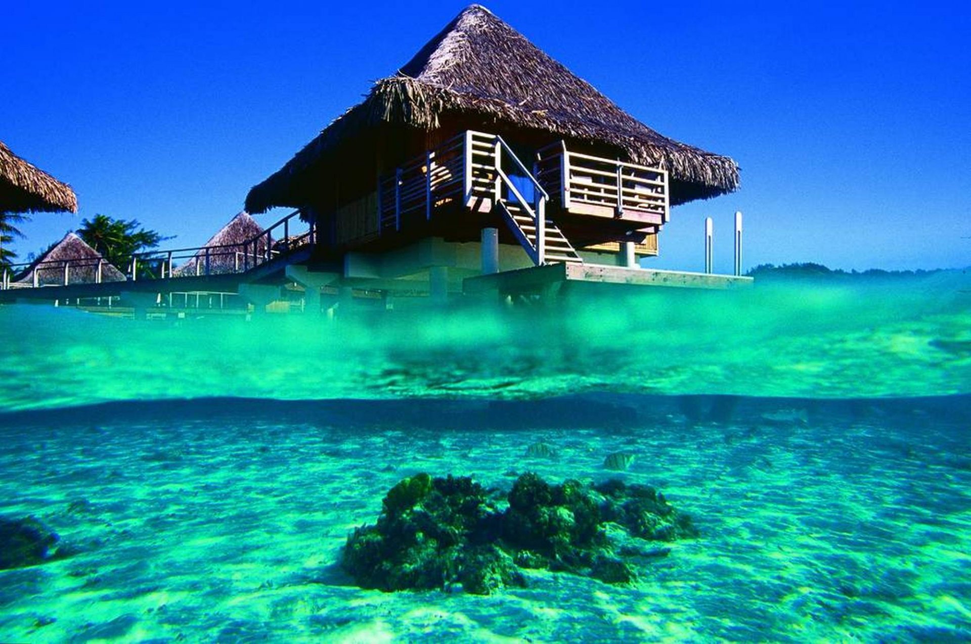 bungalow bora ocean bora bora polinezja francuska błękitna laguna