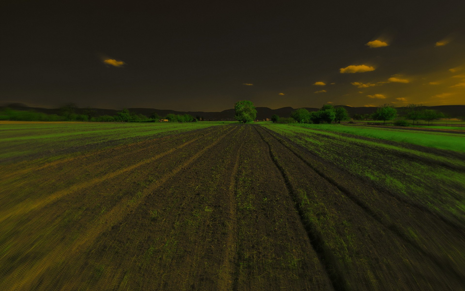 the field night landscape