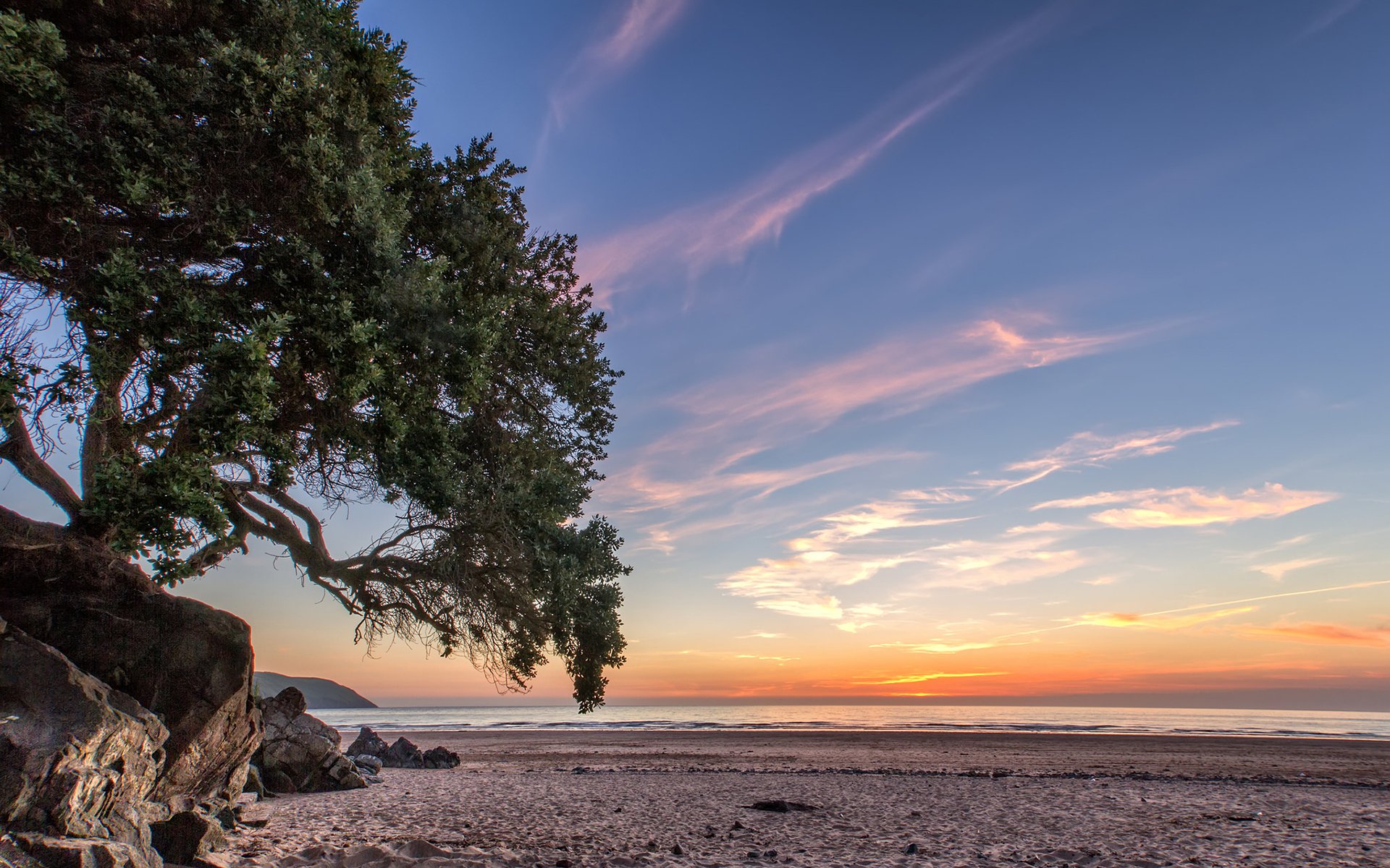 küste sonnenuntergang ozean meer strand baum himmel