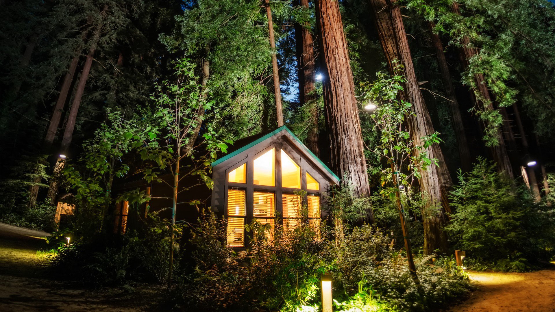 foresta alberi casa luci luce parco hdr