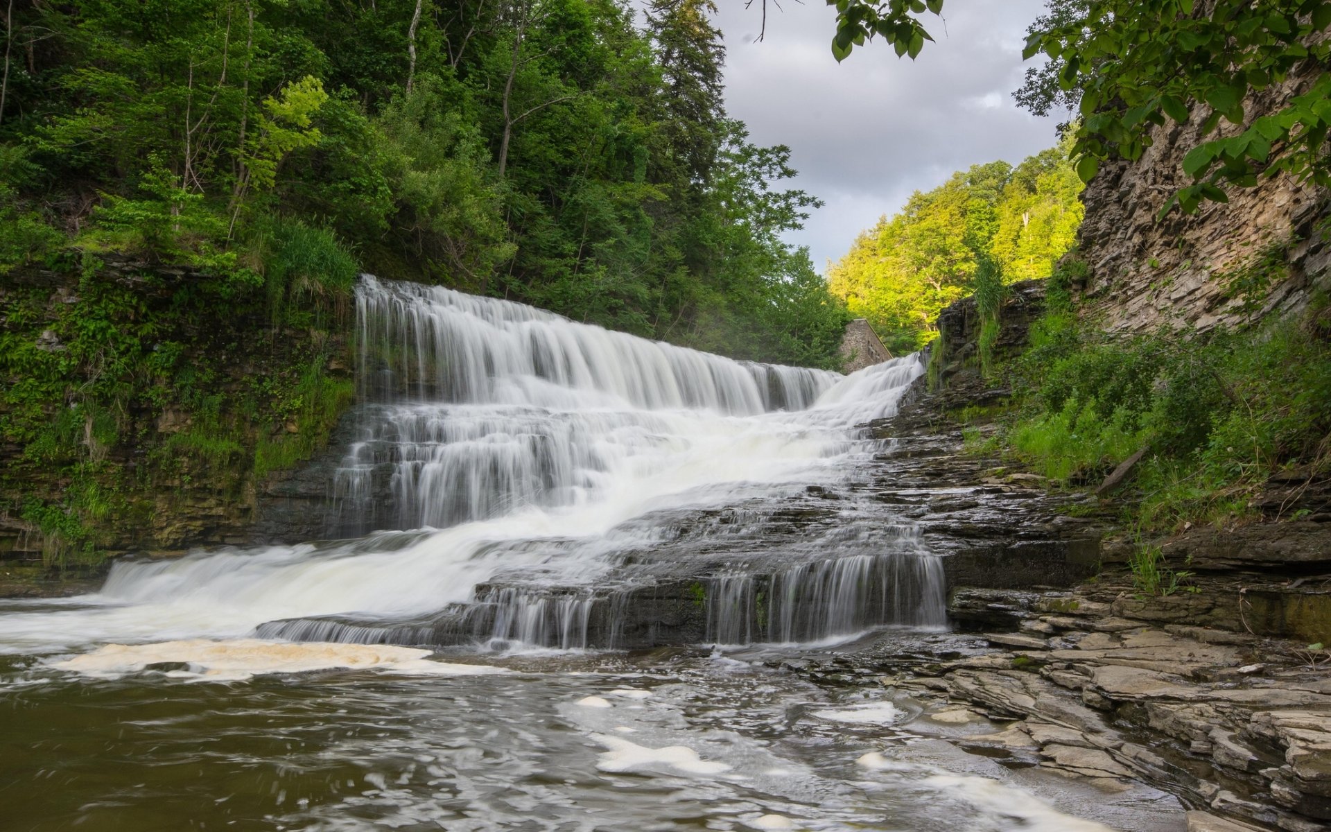 cascada cascada río bosque