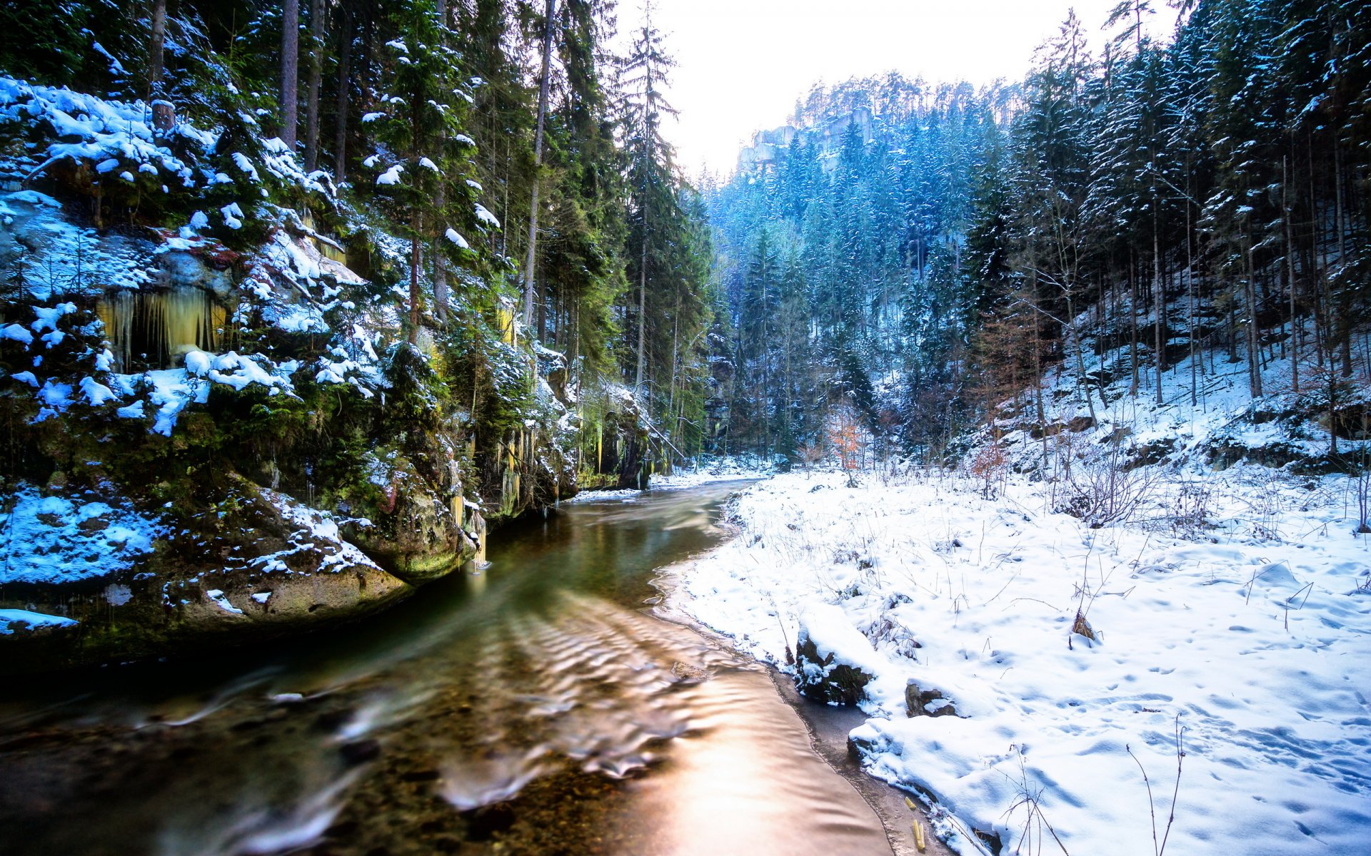 winter fluss wald natur landschaft