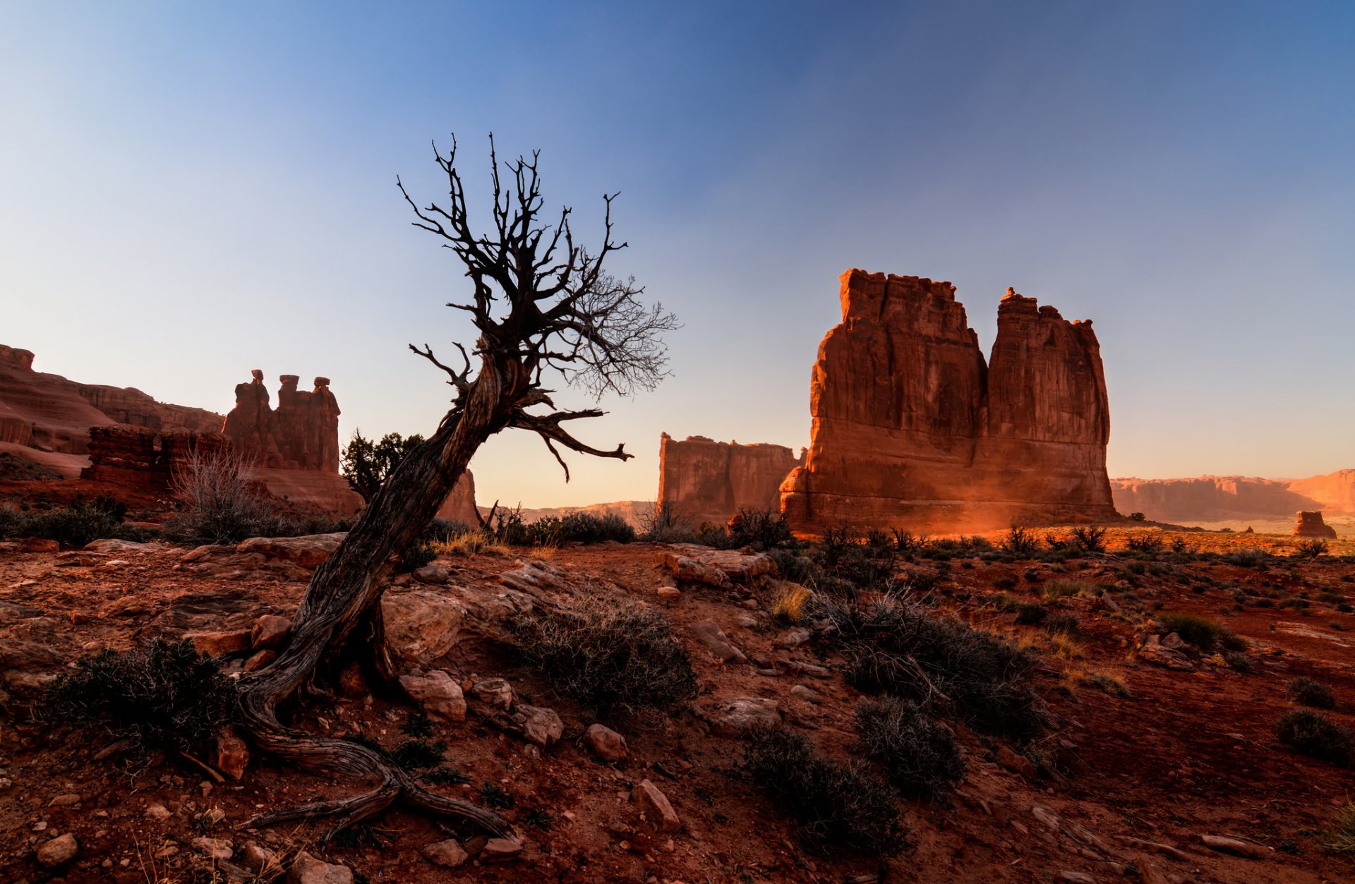 park narodowy łuki utah usa park narodowy łuki kanion skały drzewo pustynia natura