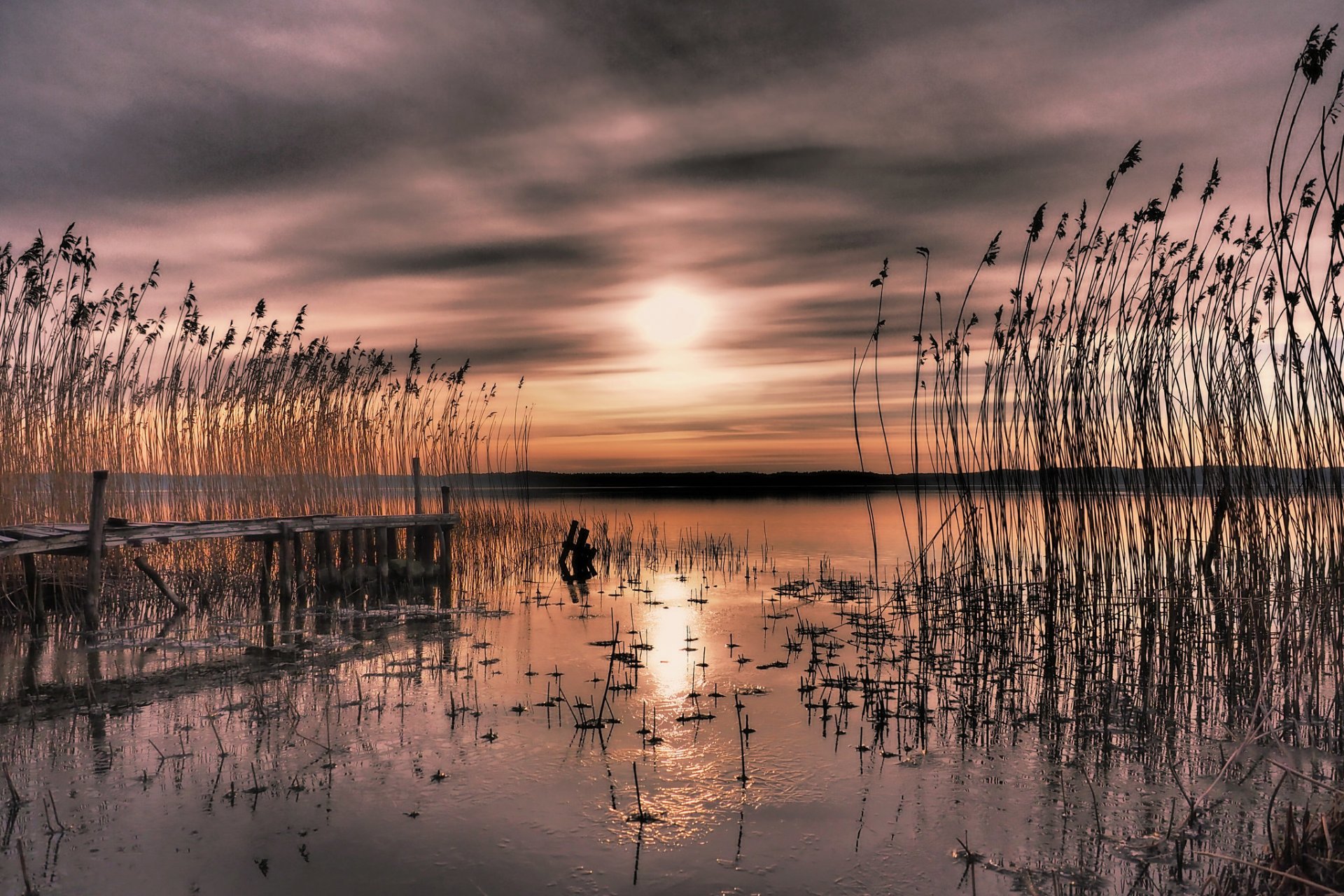 suecia bahía puesta de sol cañas