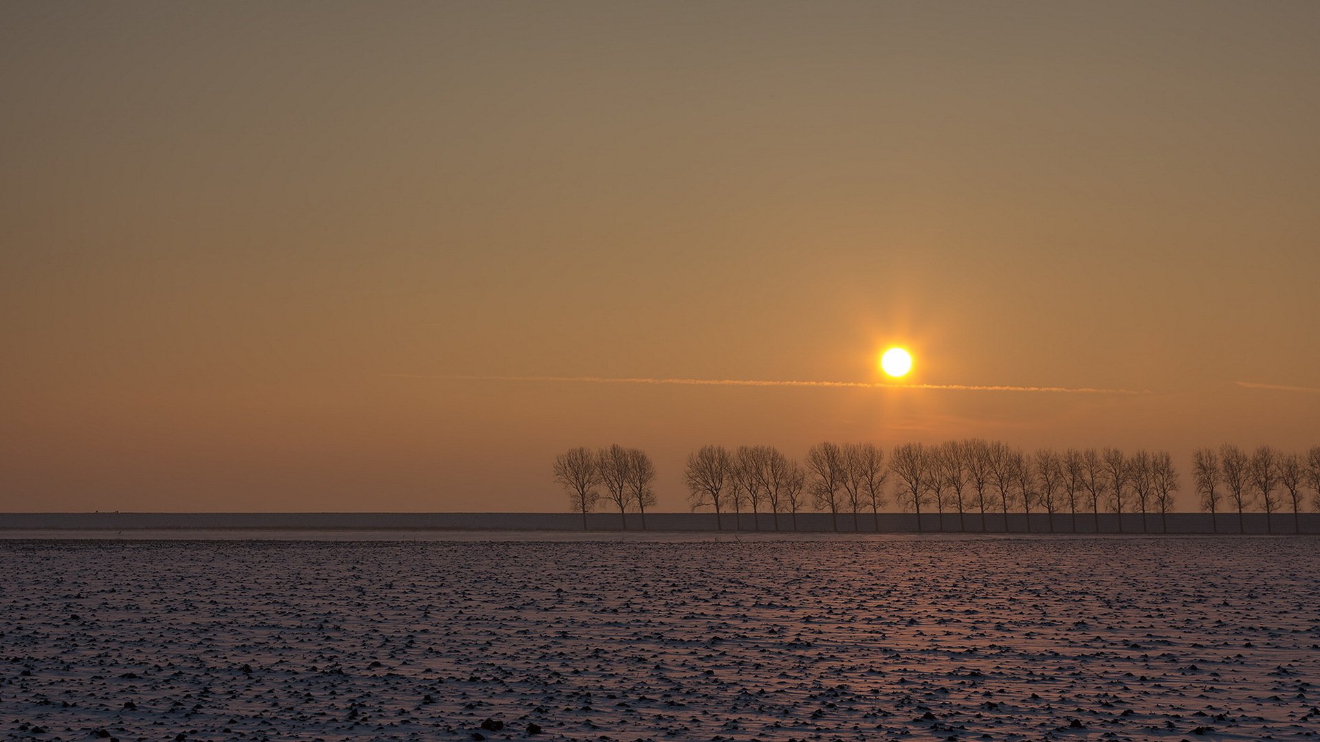 tramonto campo alberi