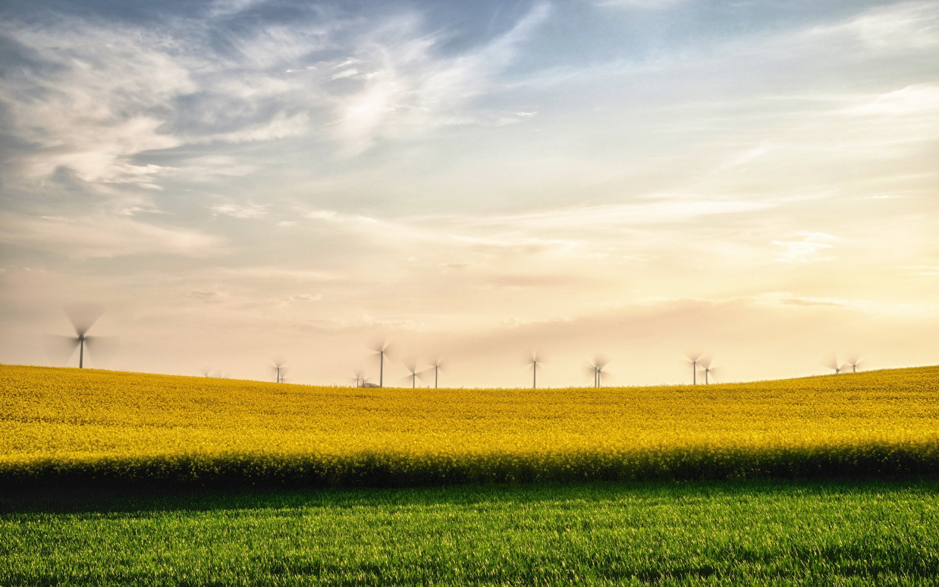 ummer the field rapeseed wind turbines landscape