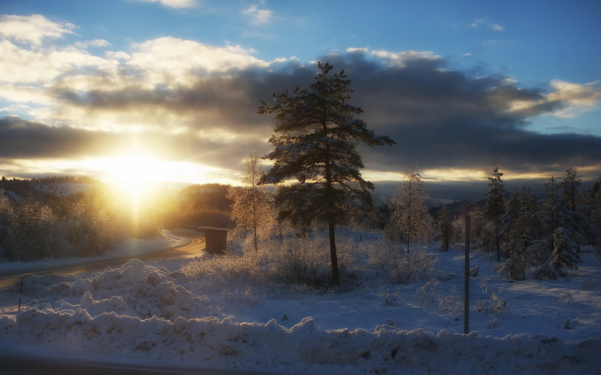 matin hiver paysage