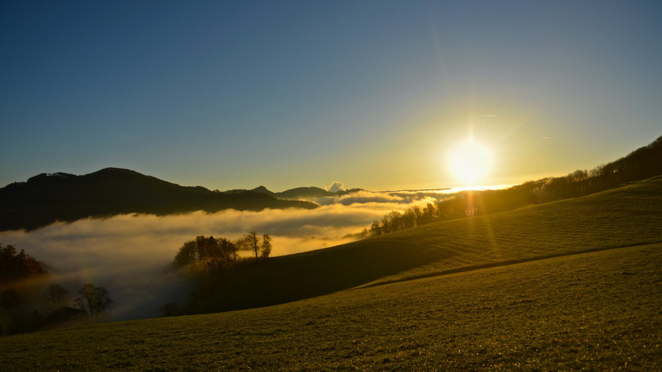 matin brouillard lumière paysage