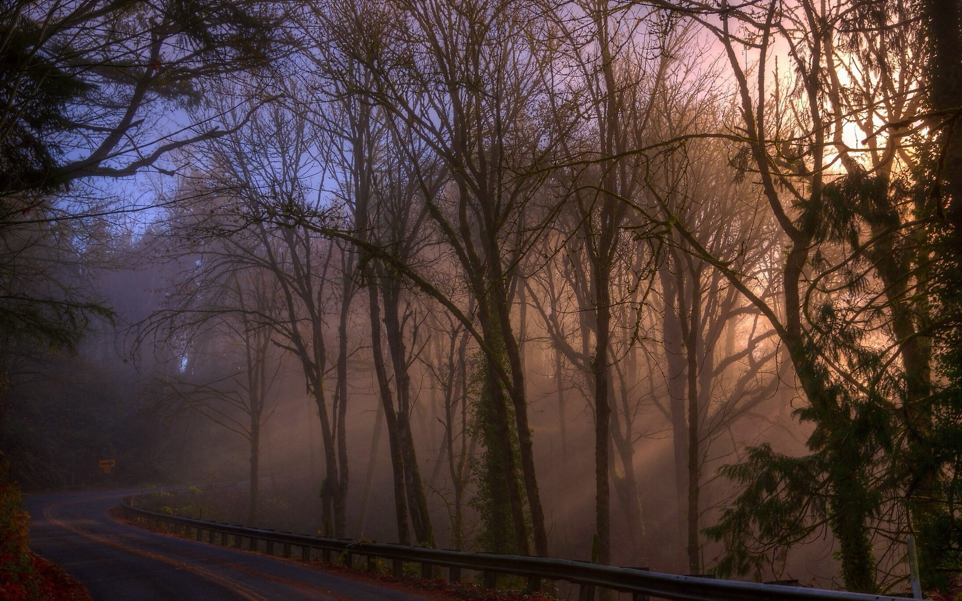 matin route automne