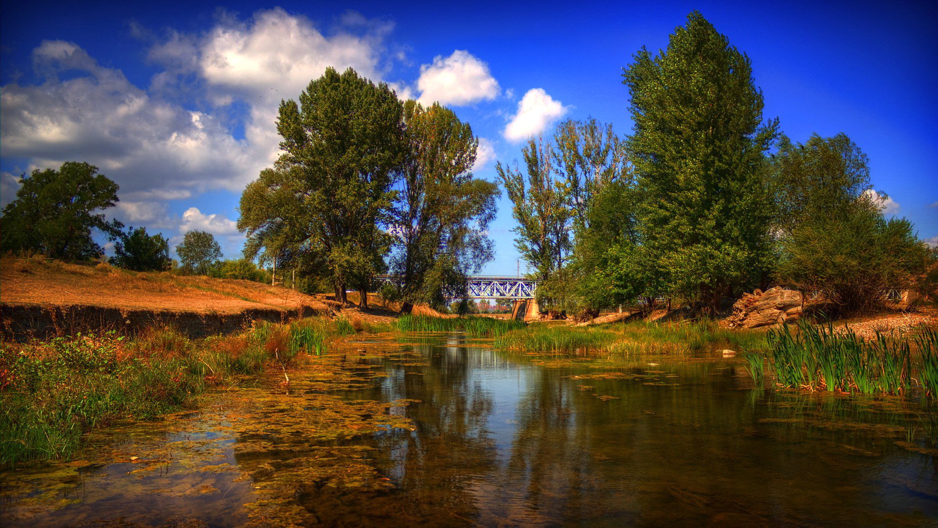 ky clouds tree river bridge