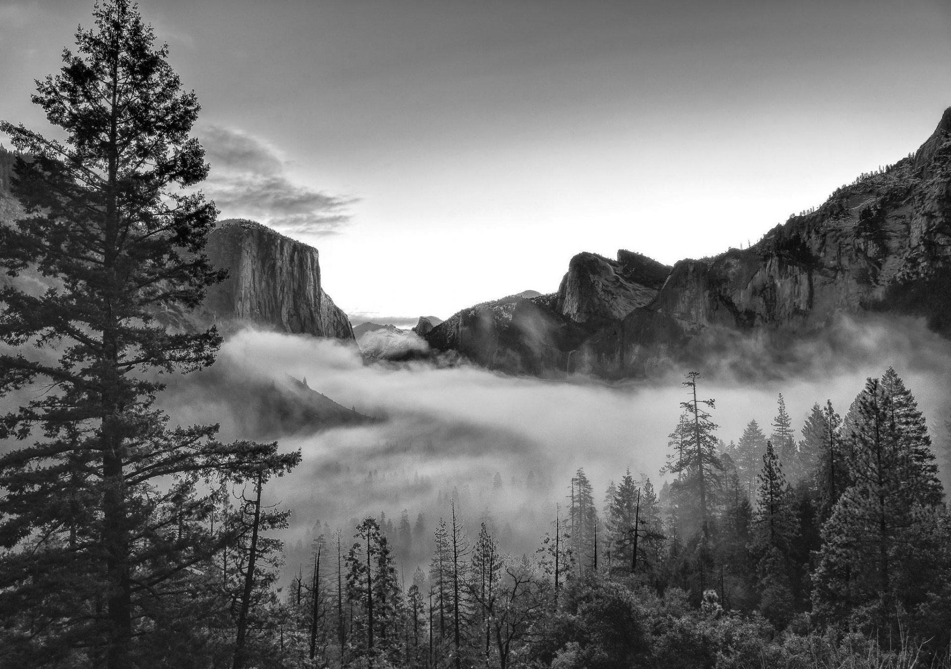 montagnes nature forêt parc photo noir et blanc états-unis californie yosemite