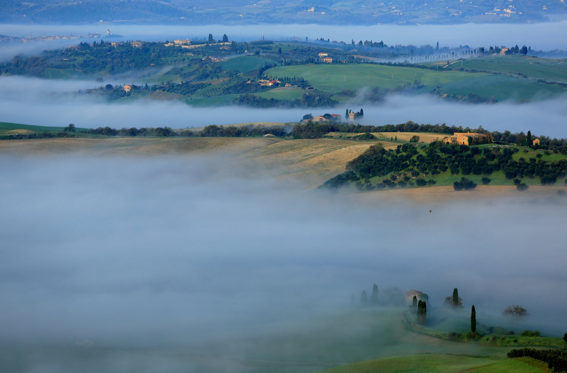 italie toscane collines matin brouillard maison arbres