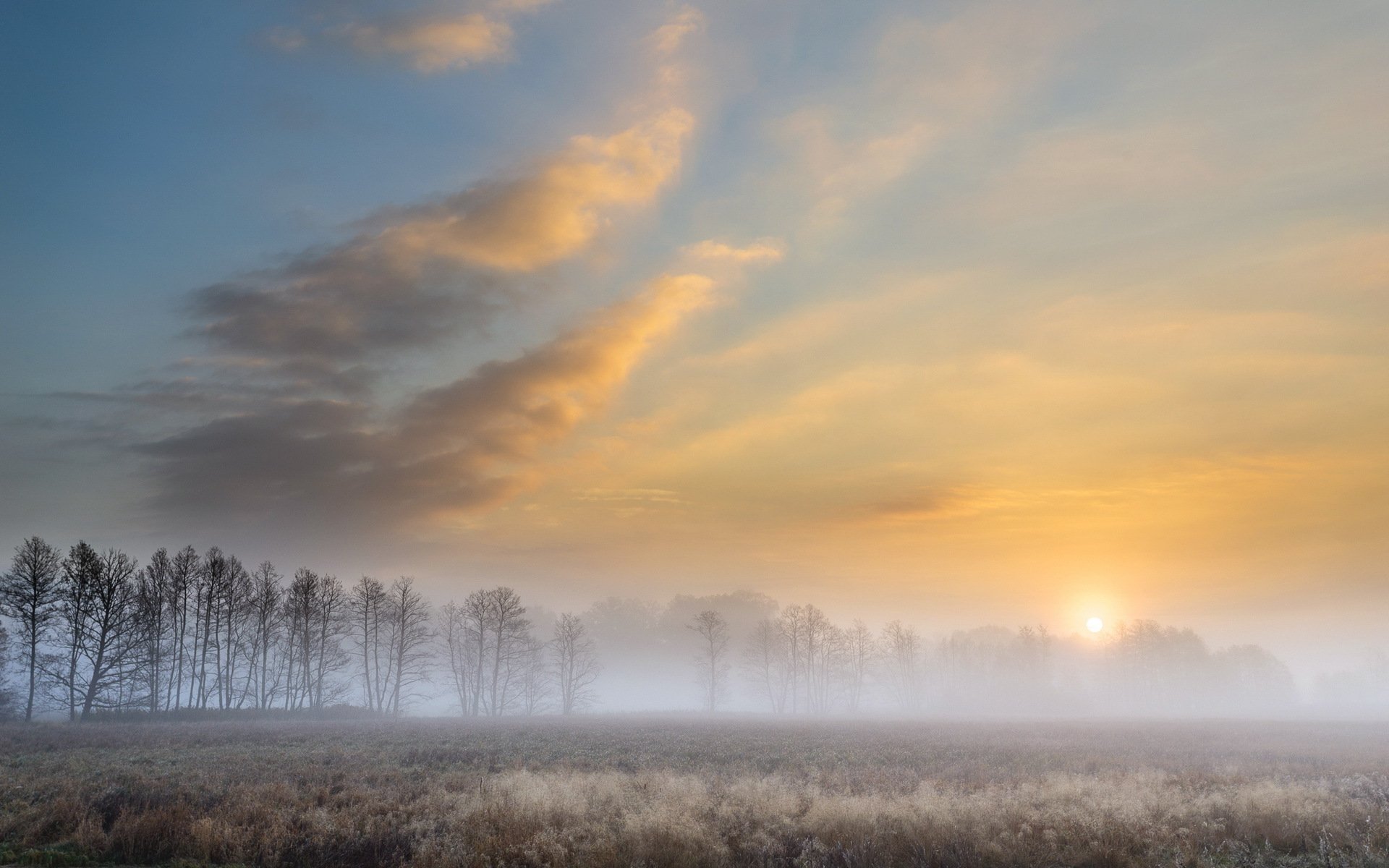 autunno nebbioso al mattino