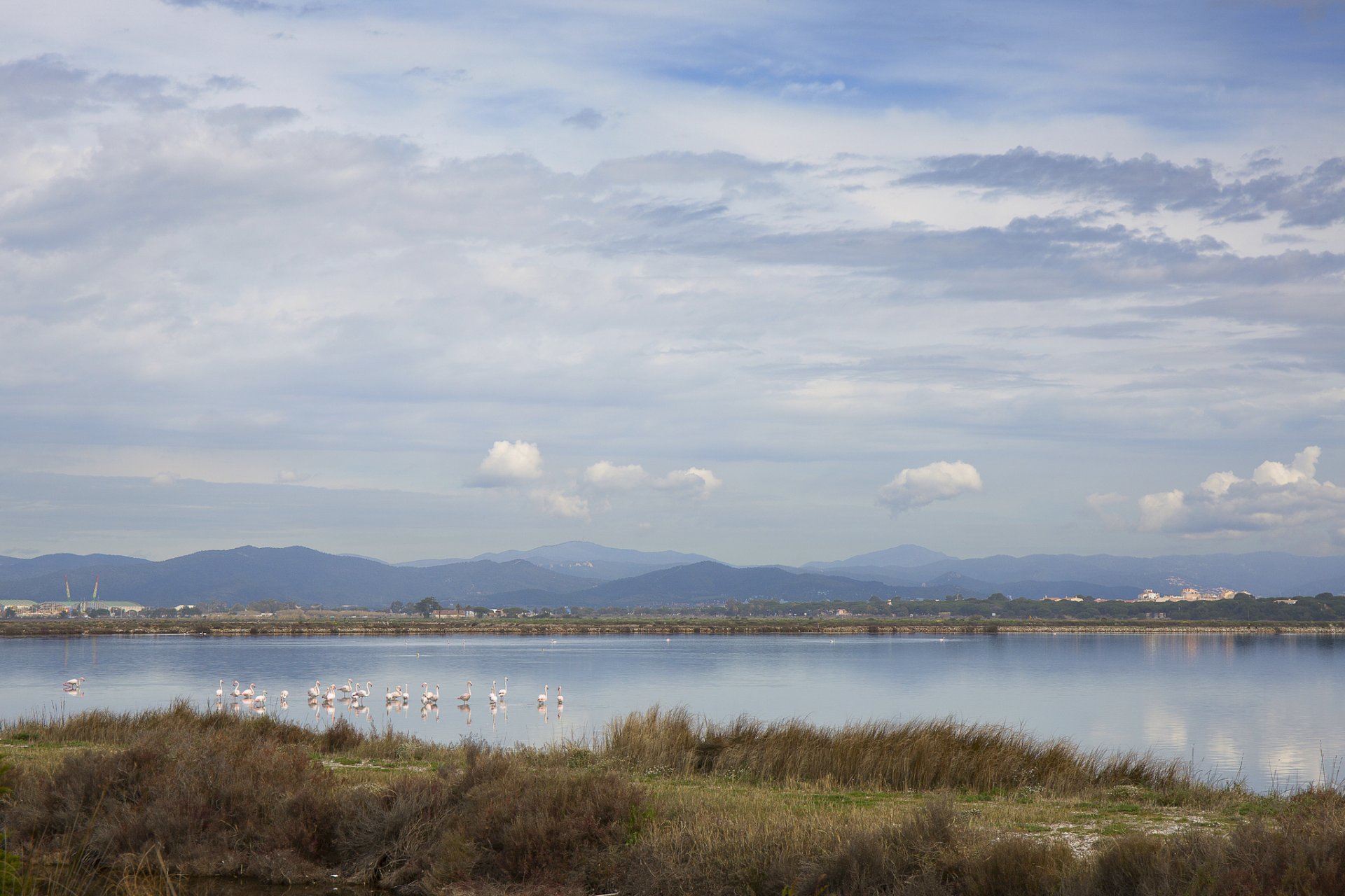 berge see vögel flamingos