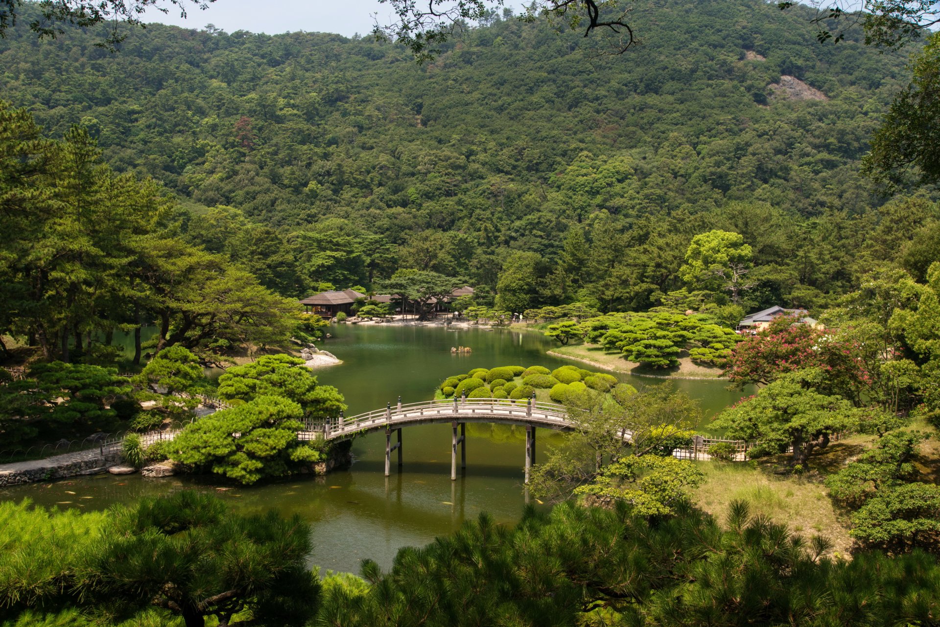 paisaje japón jardines río puente takamatsu jardín ritsurin árboles naturaleza foto