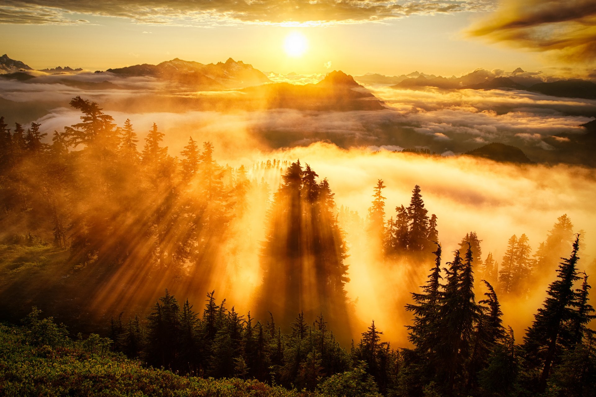 foresta alberi nebbia montagne cielo nuvole sole