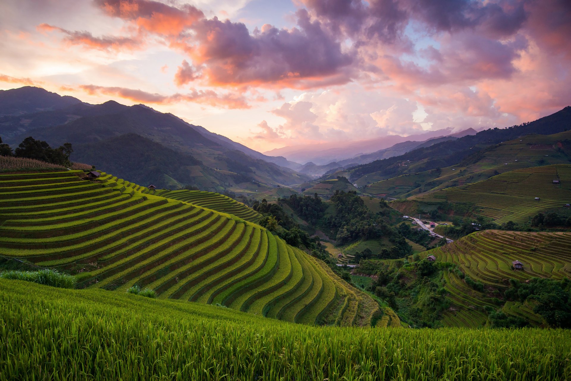 asien vietnam mù cang chải district reis felder hügel