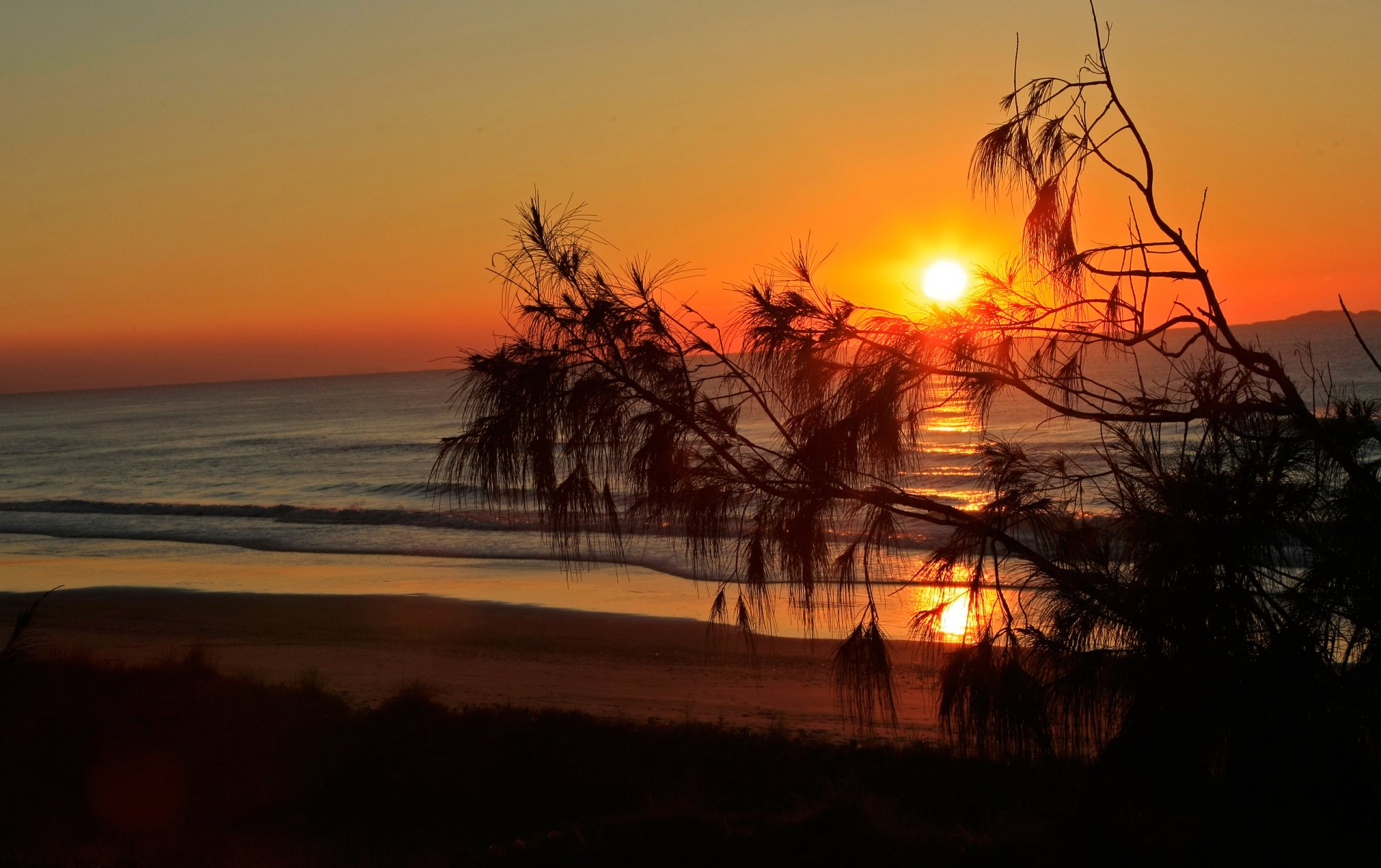 ciel nuages soleil coucher de soleil mer surf arbre branche silhouette