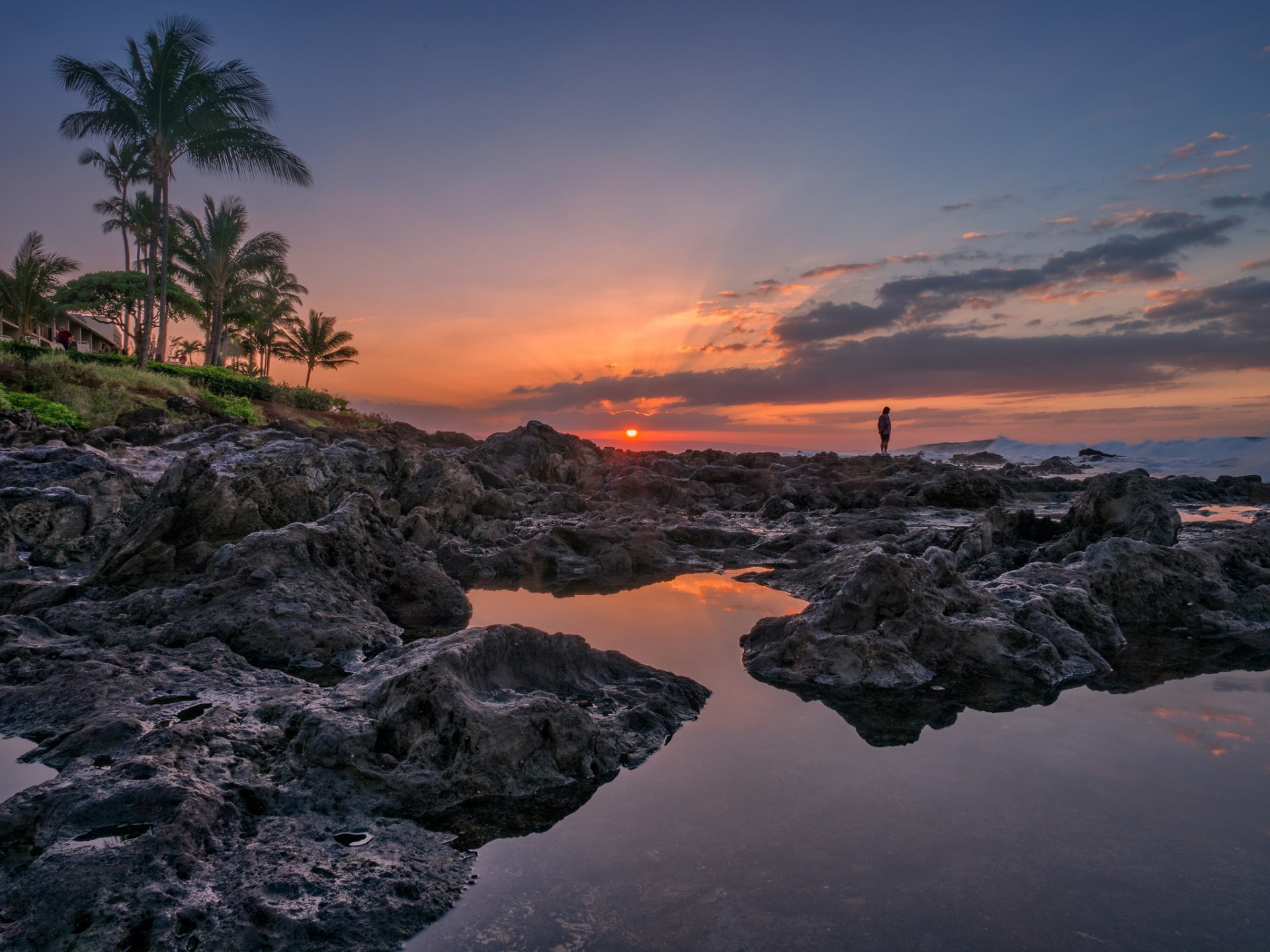 napili plaża napili bay maui hawaje zachód słońca ocean wybrzeże palmy