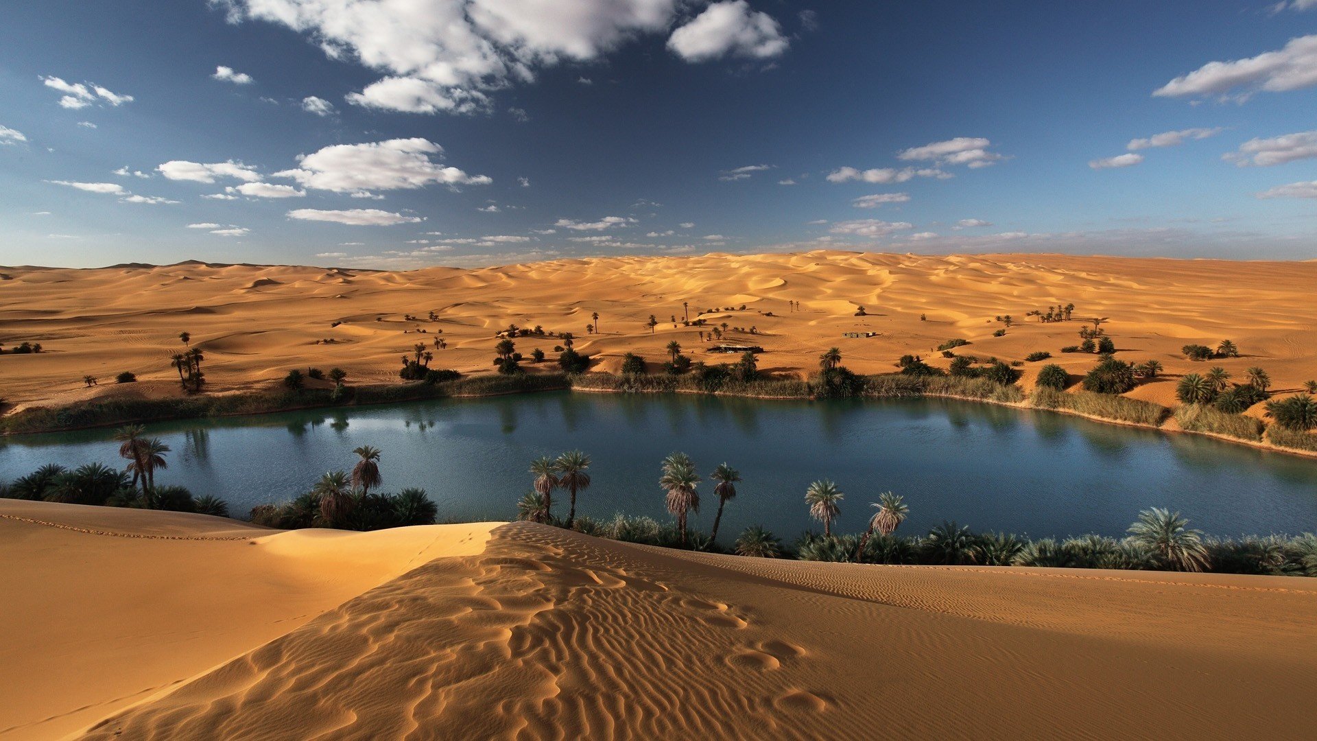 deserto sabbie oasi libico sahara