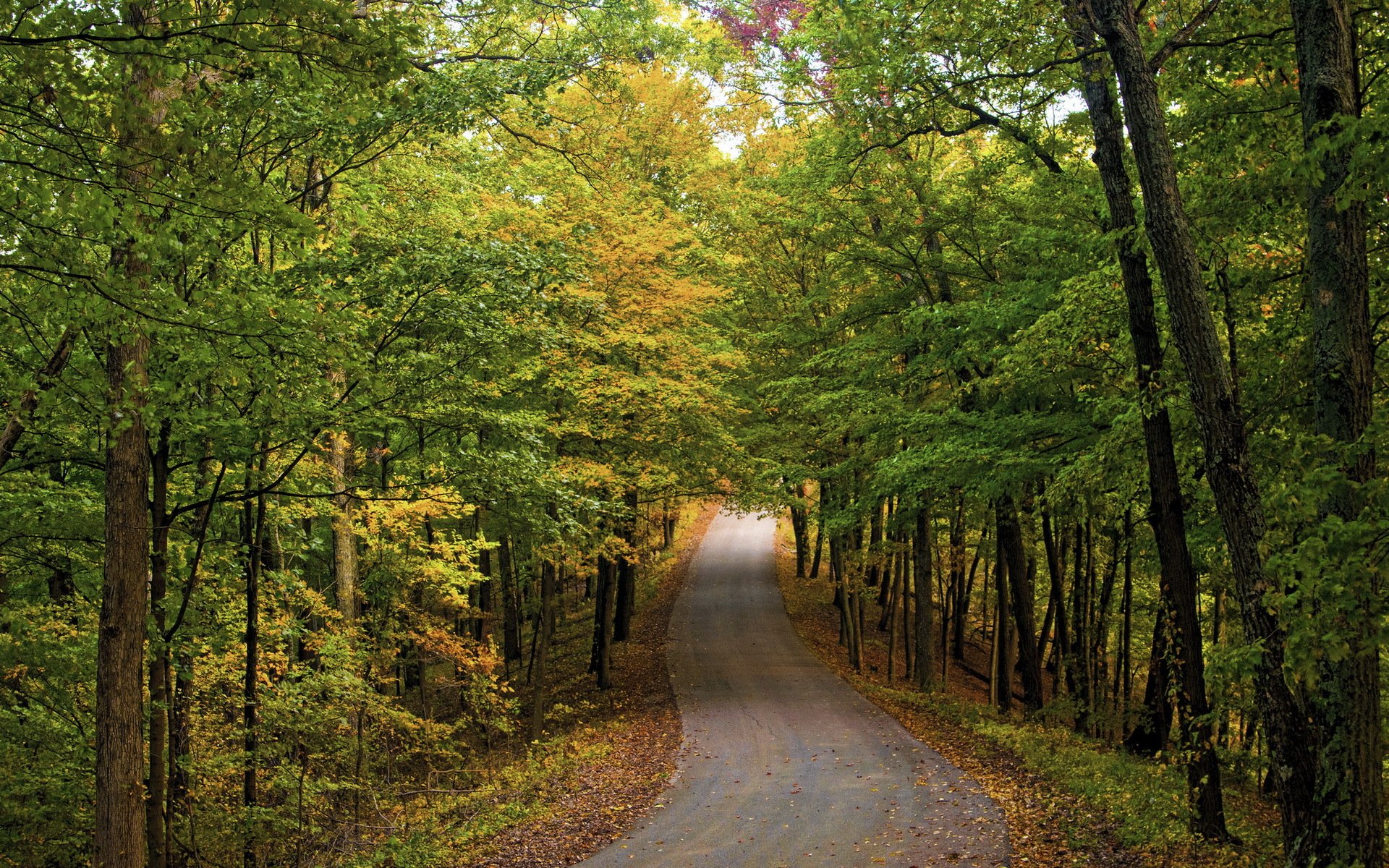 herbst autobahnen natur