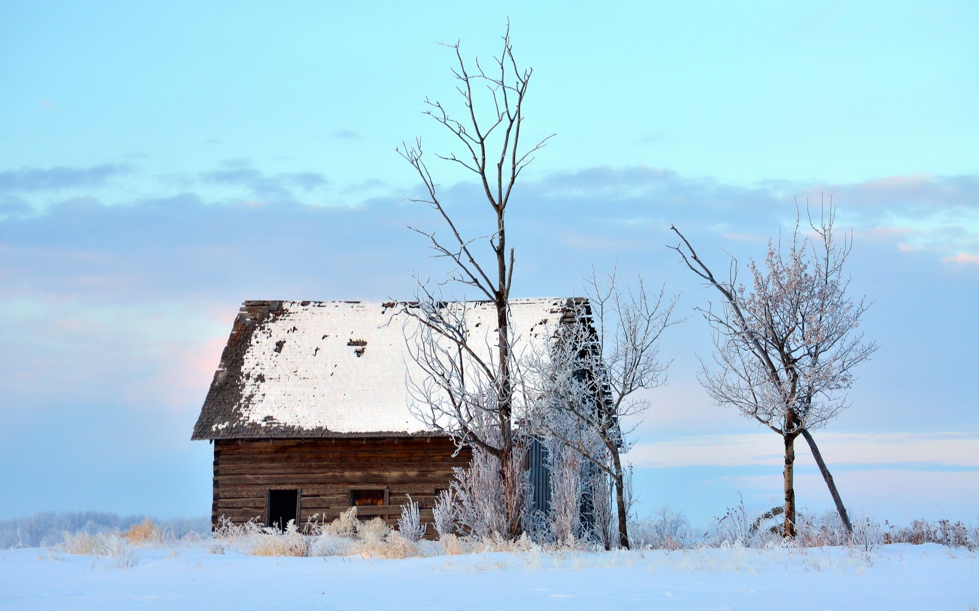 hiver maison arbre paysage