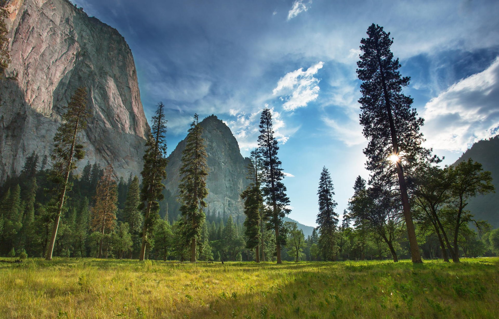 parco nazionale di yosemite natura montagna foresta piante