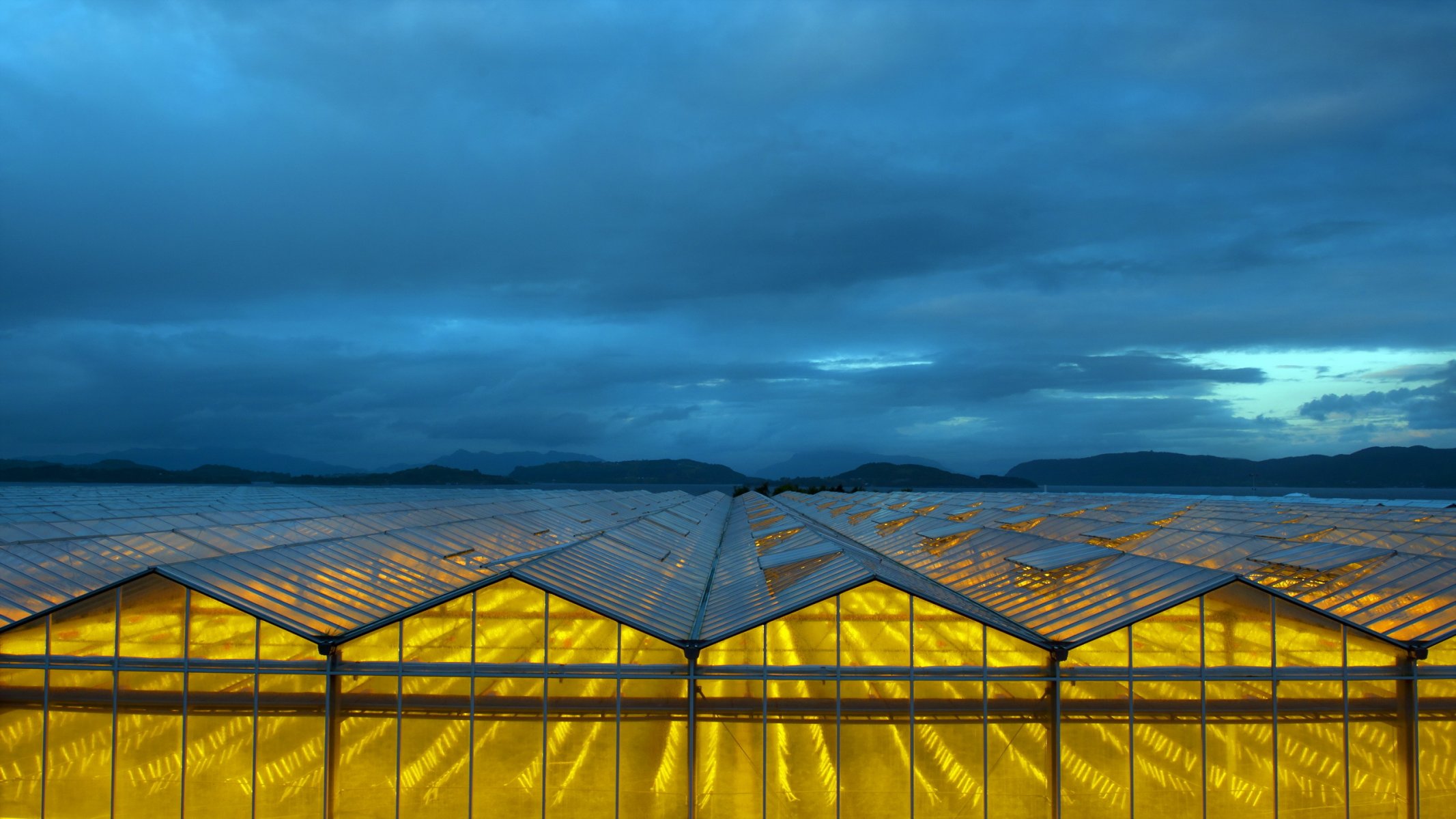 greenhouses night landscape