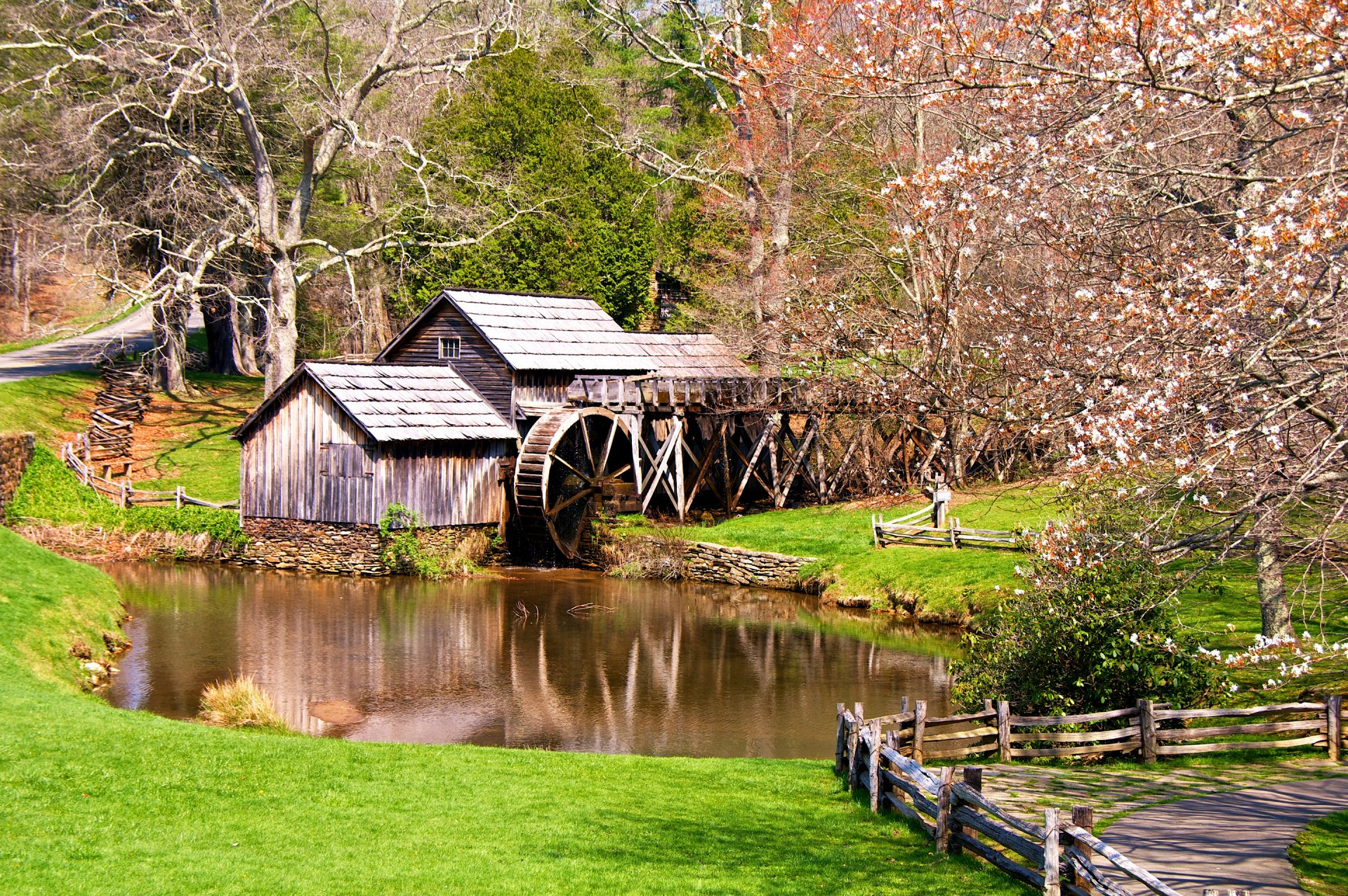 printemps moulin arbres étang