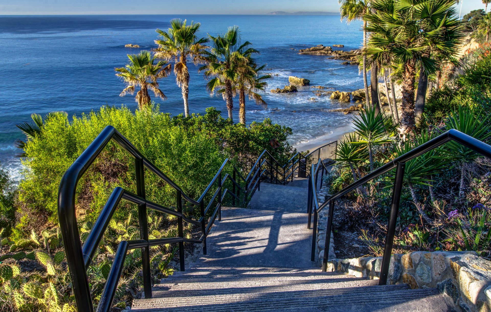 usa morze wybrzeże laguna beach kalifornia palmy kamienie schody stopnie zejście horyzont