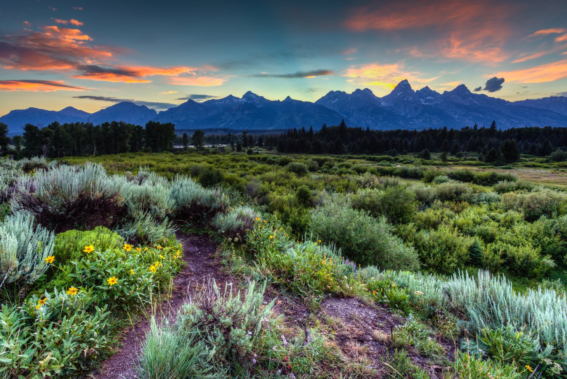 parc national du grand teton jackson hole wyoming usa ciel montagnes nuages coucher de soleil herbe fleurs arbres forêt