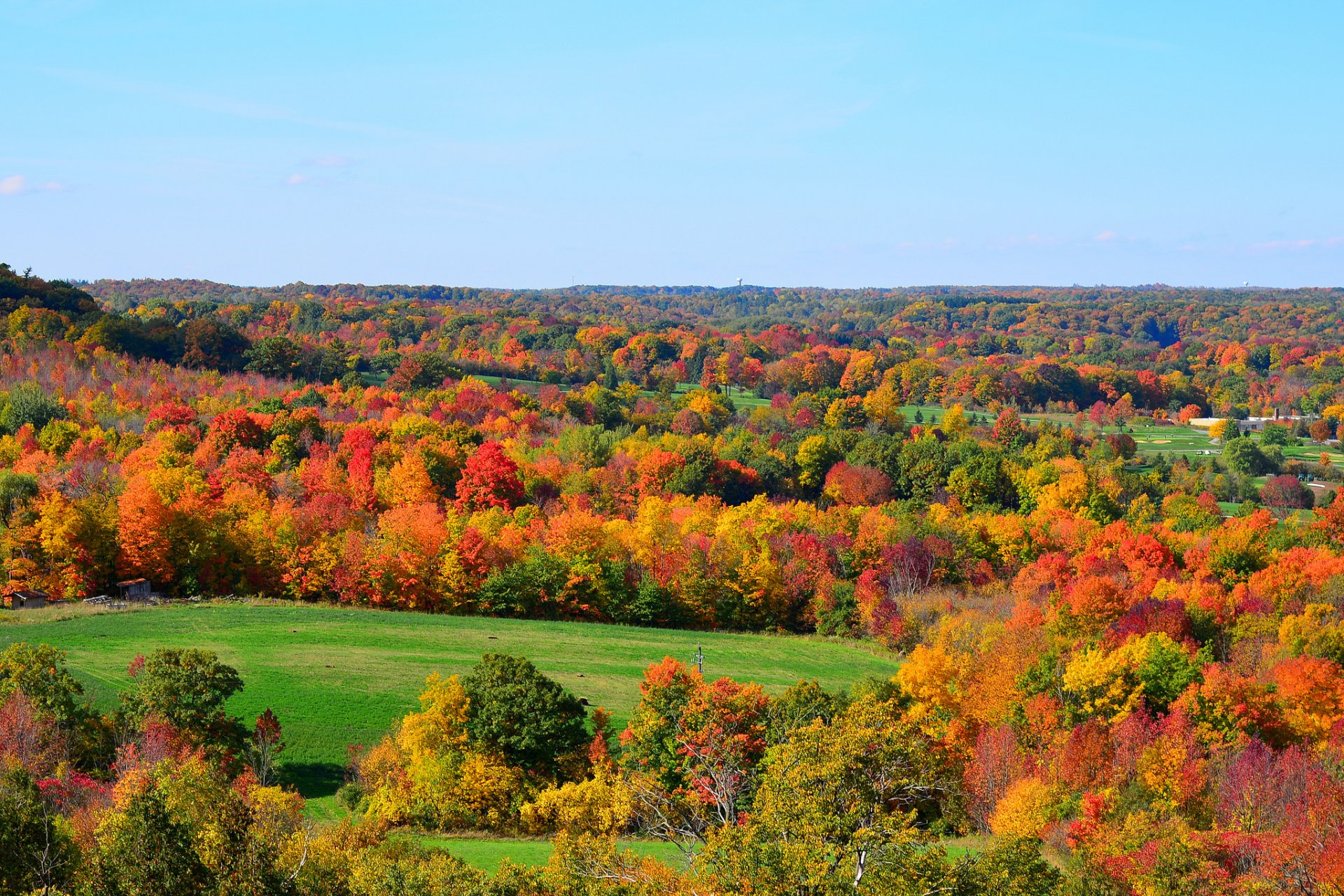 cielo colline foresta alberi campo erba autunno