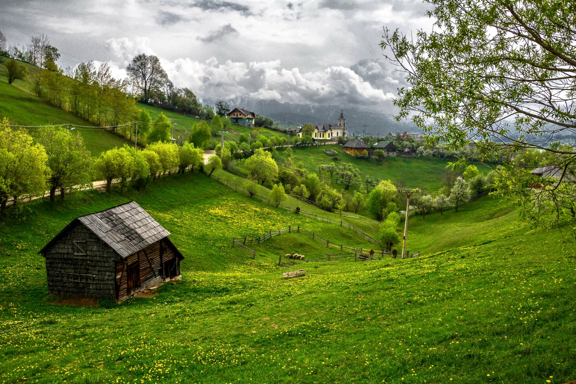 rumänien siebenbürgen gras bäume grüns zuhause