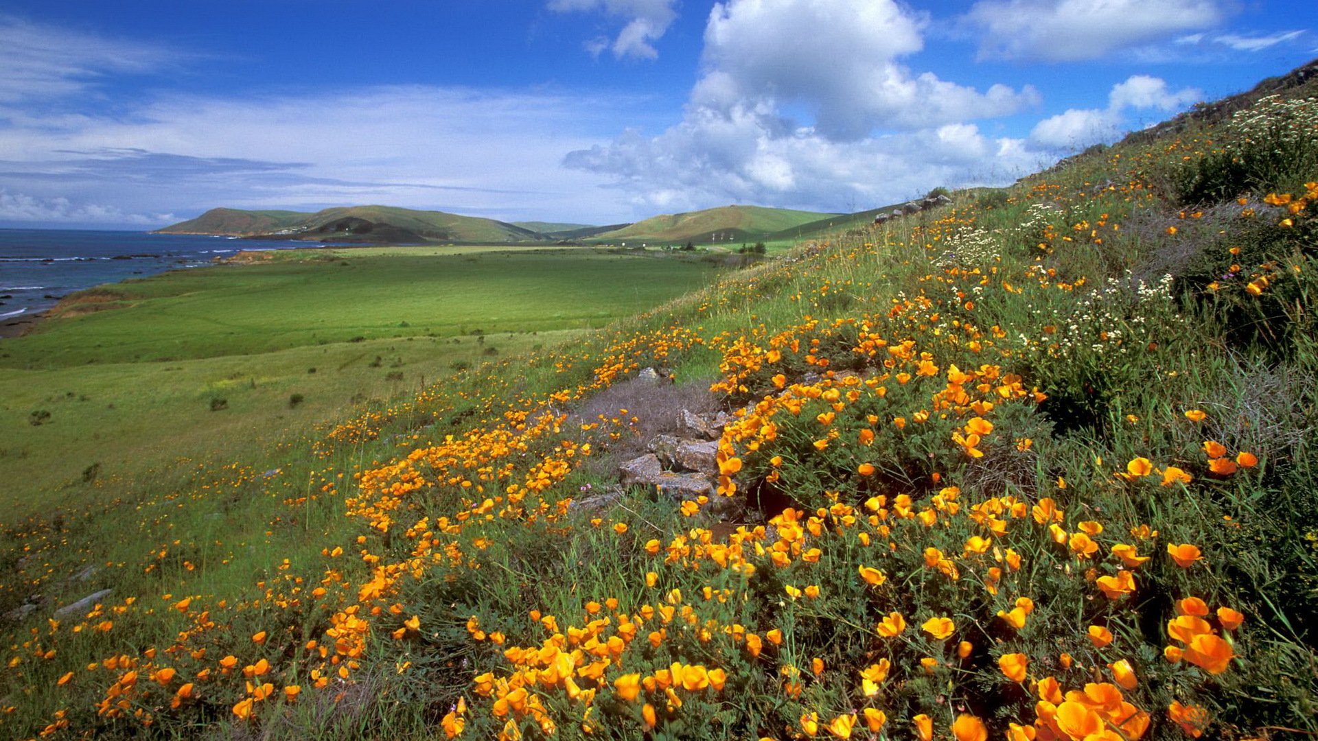 himmel berge wiese blumen meer