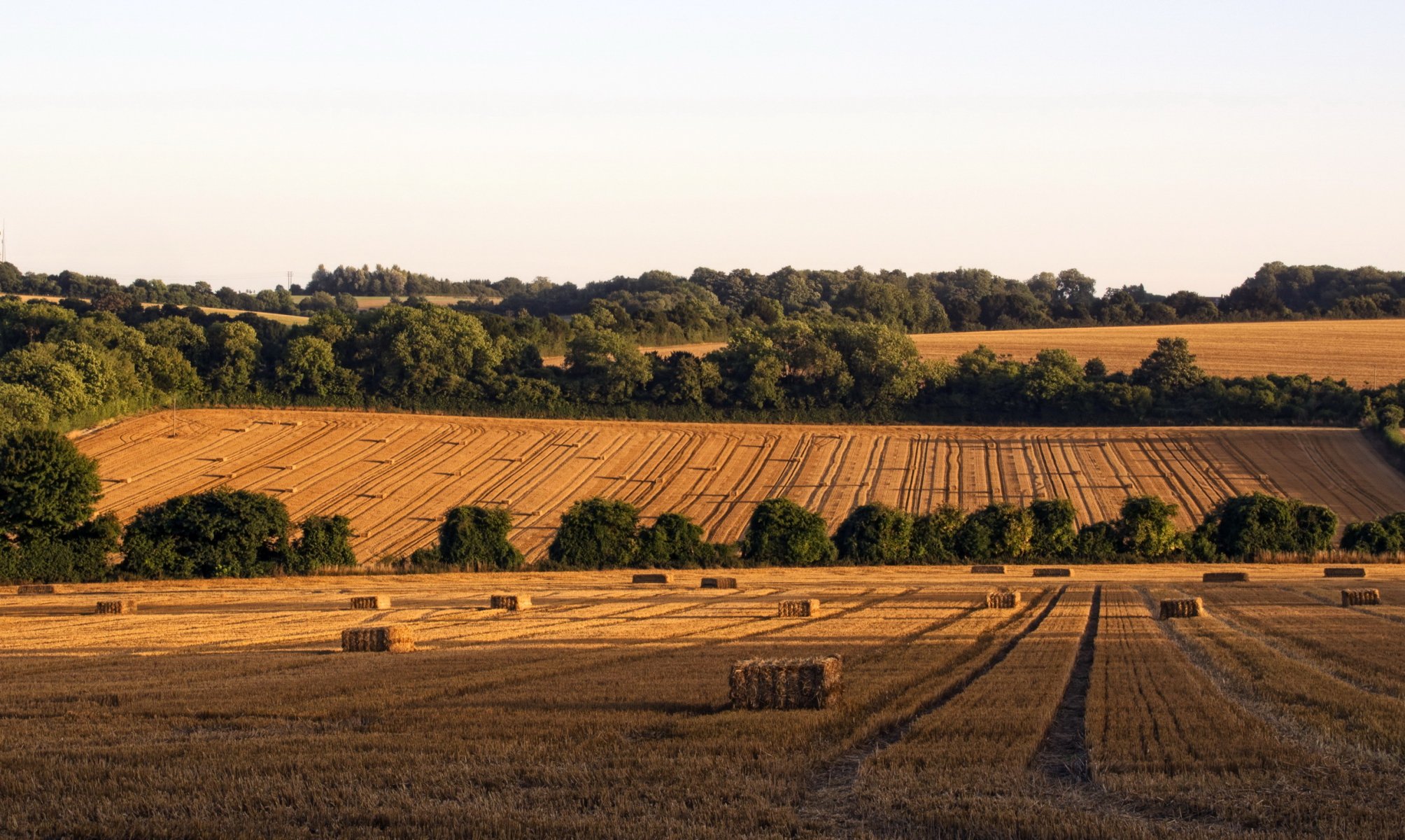 felder england hampshire heu natur foto