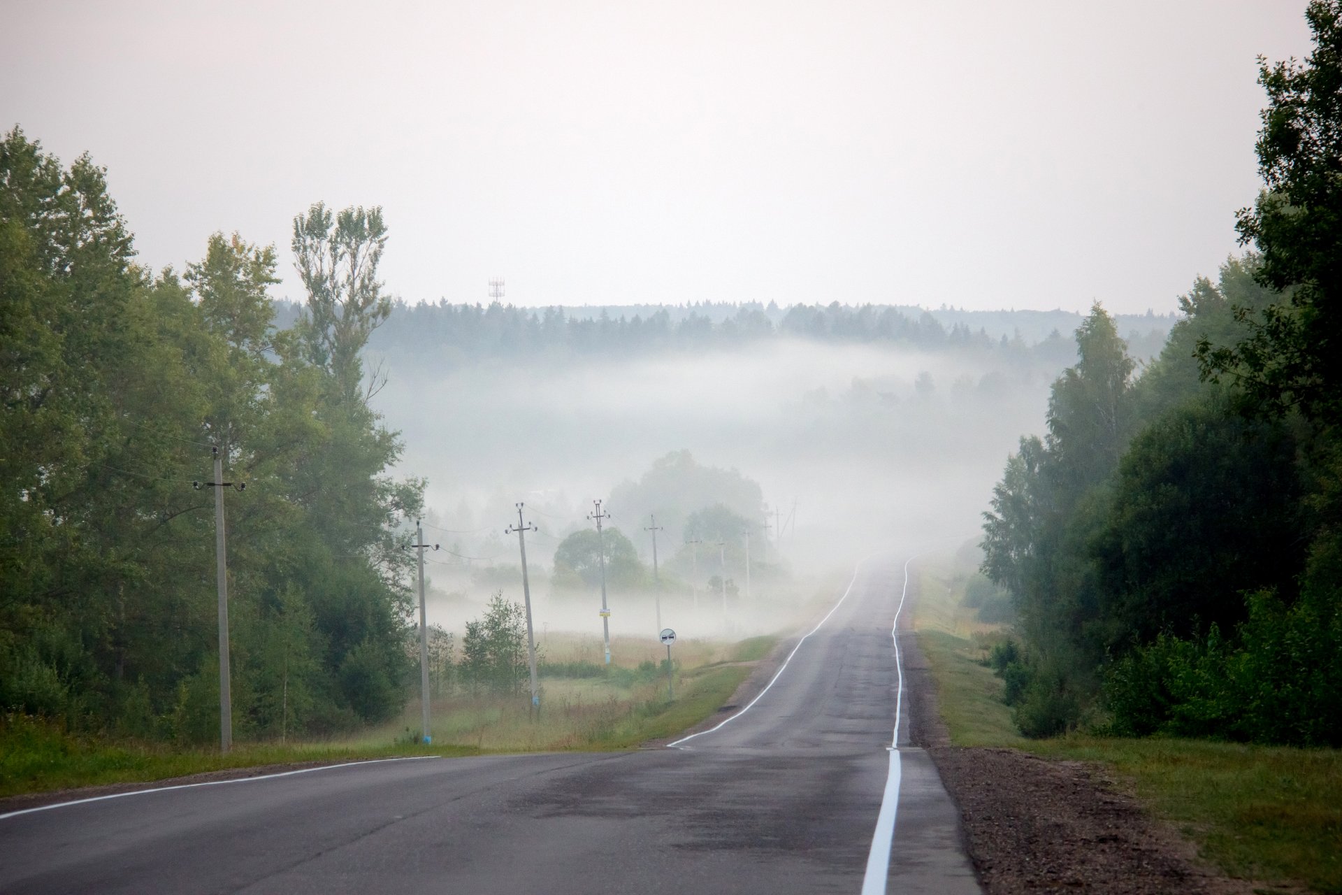 camino niebla verano agosto neblina noche