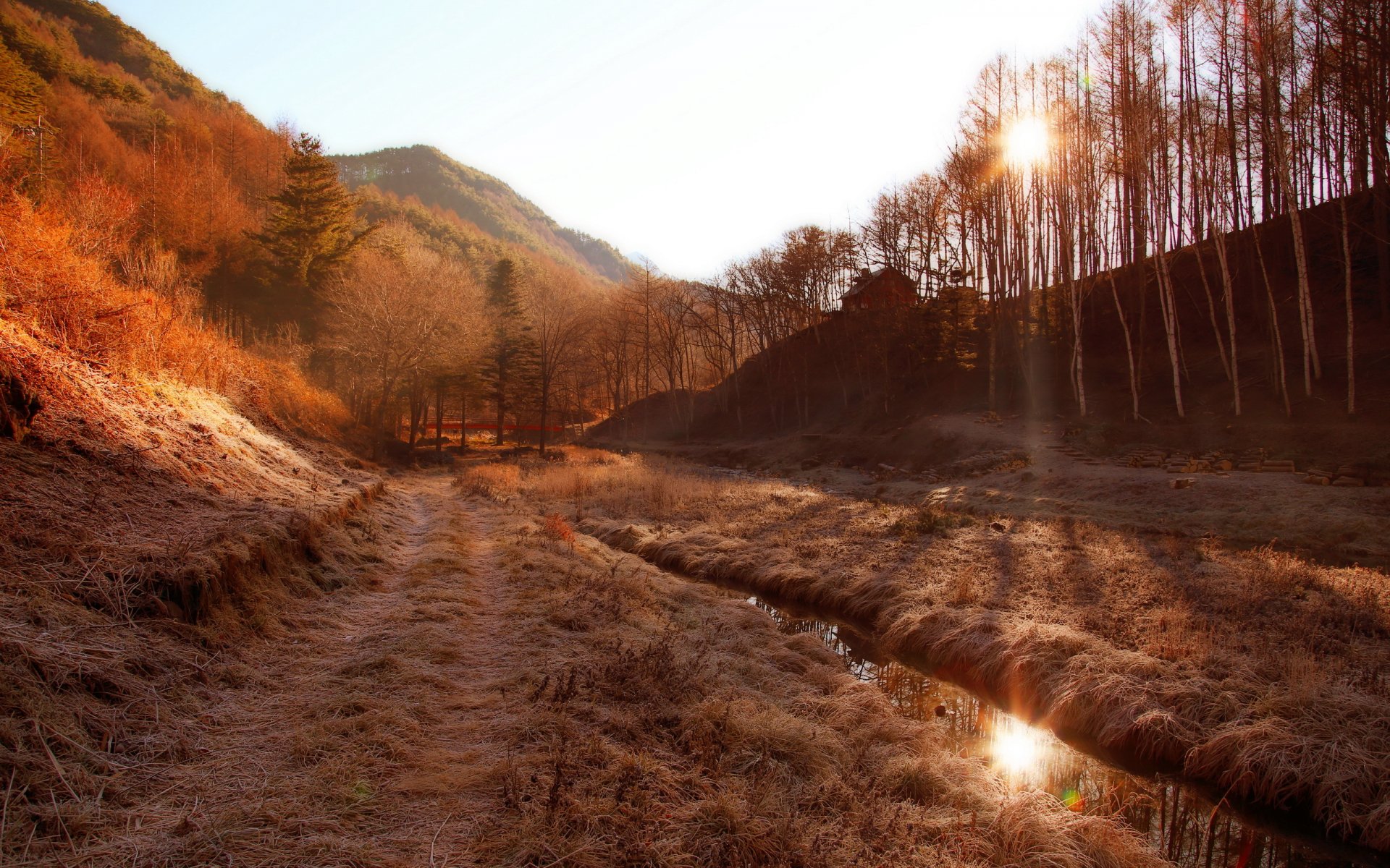 morning mountain fog landscape