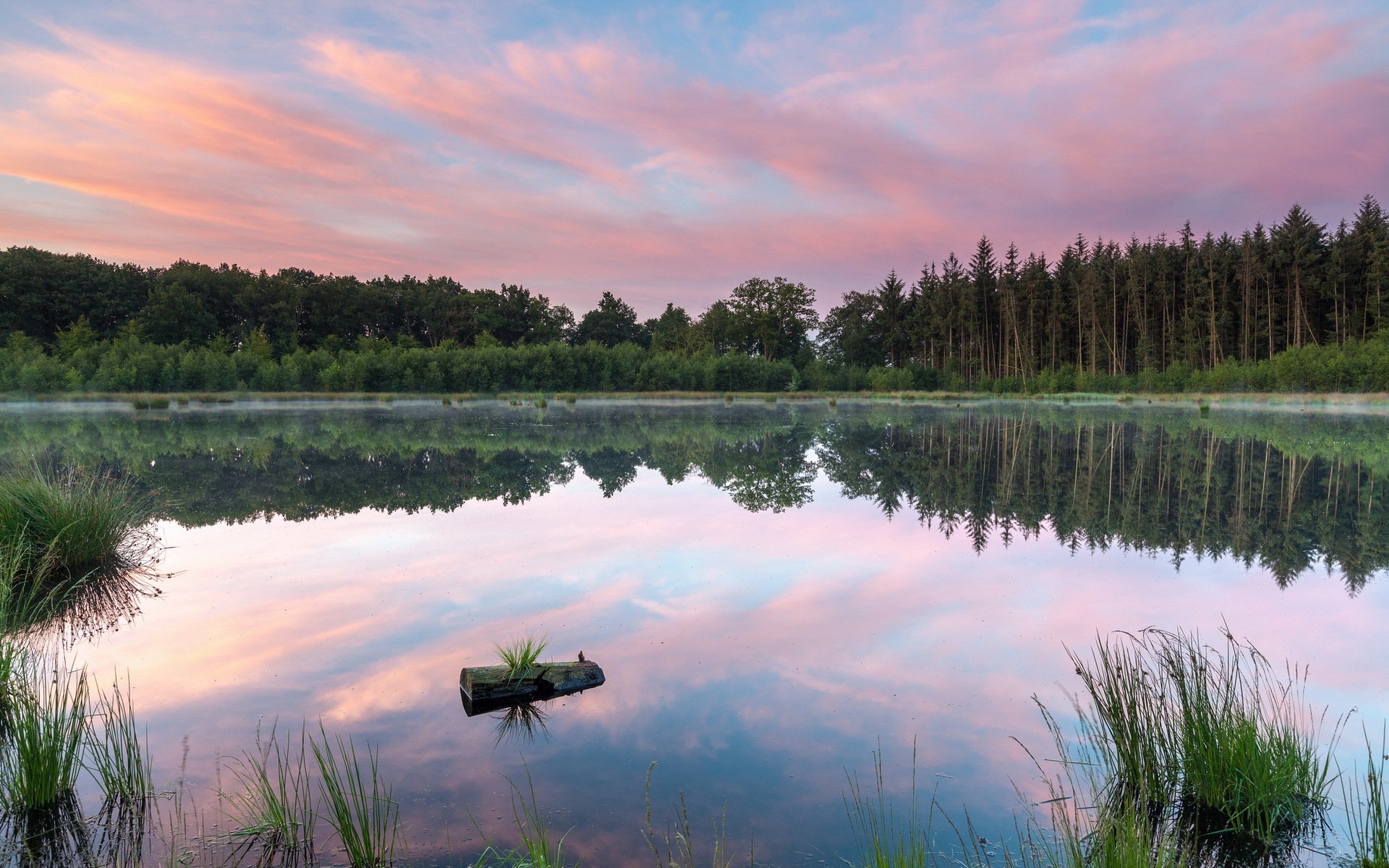 lago naturaleza paisaje