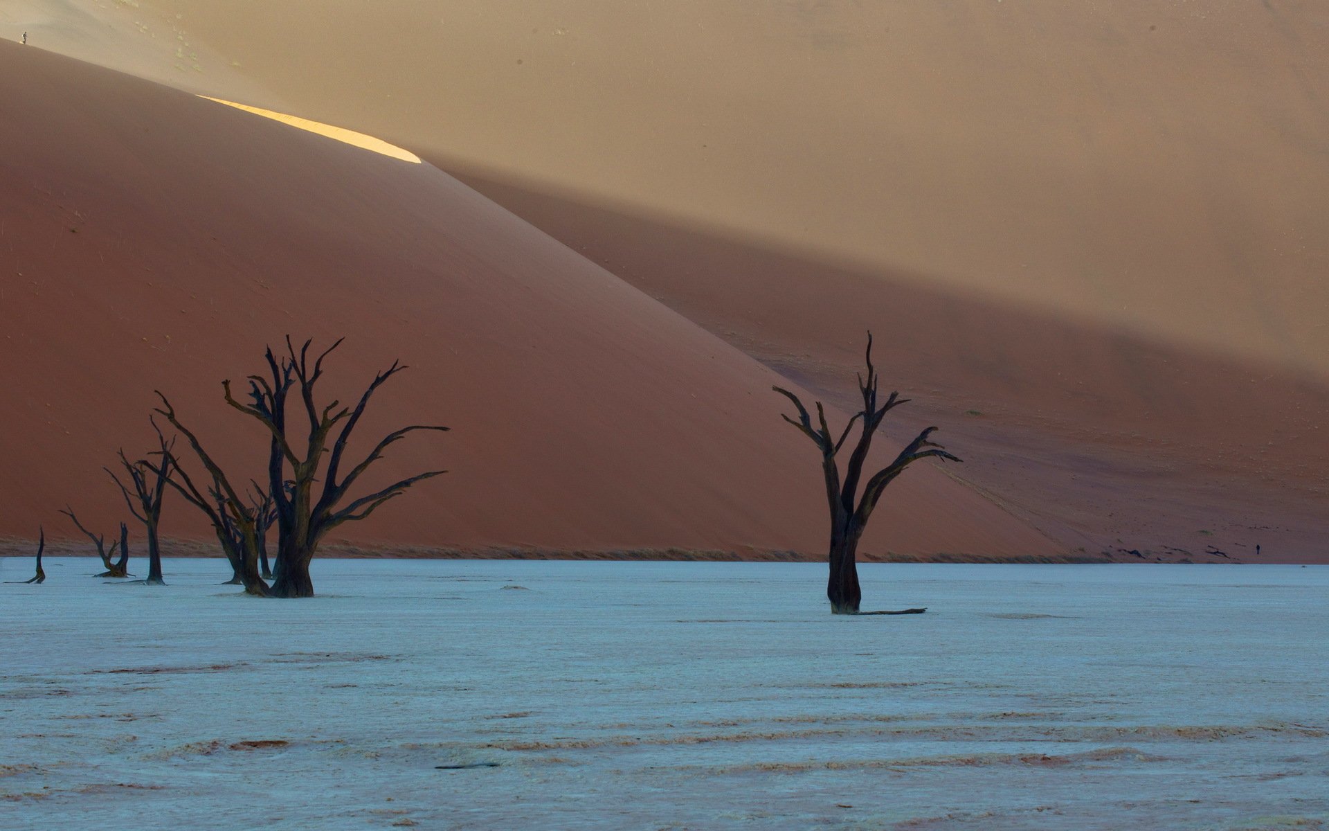 deadvlei afrika wüste dünen namibia