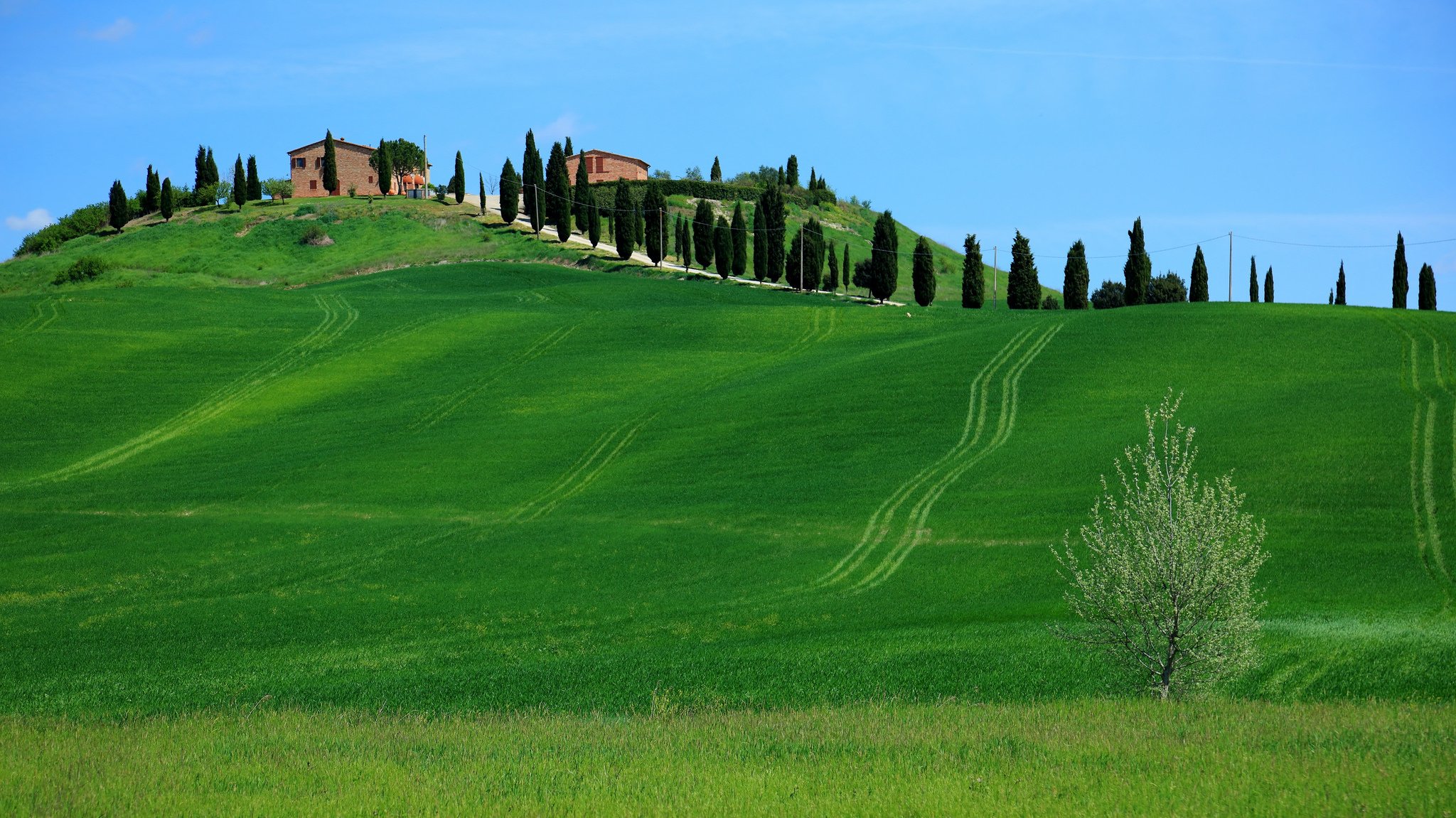 italien toskana himmel häuser hügel gras bäume