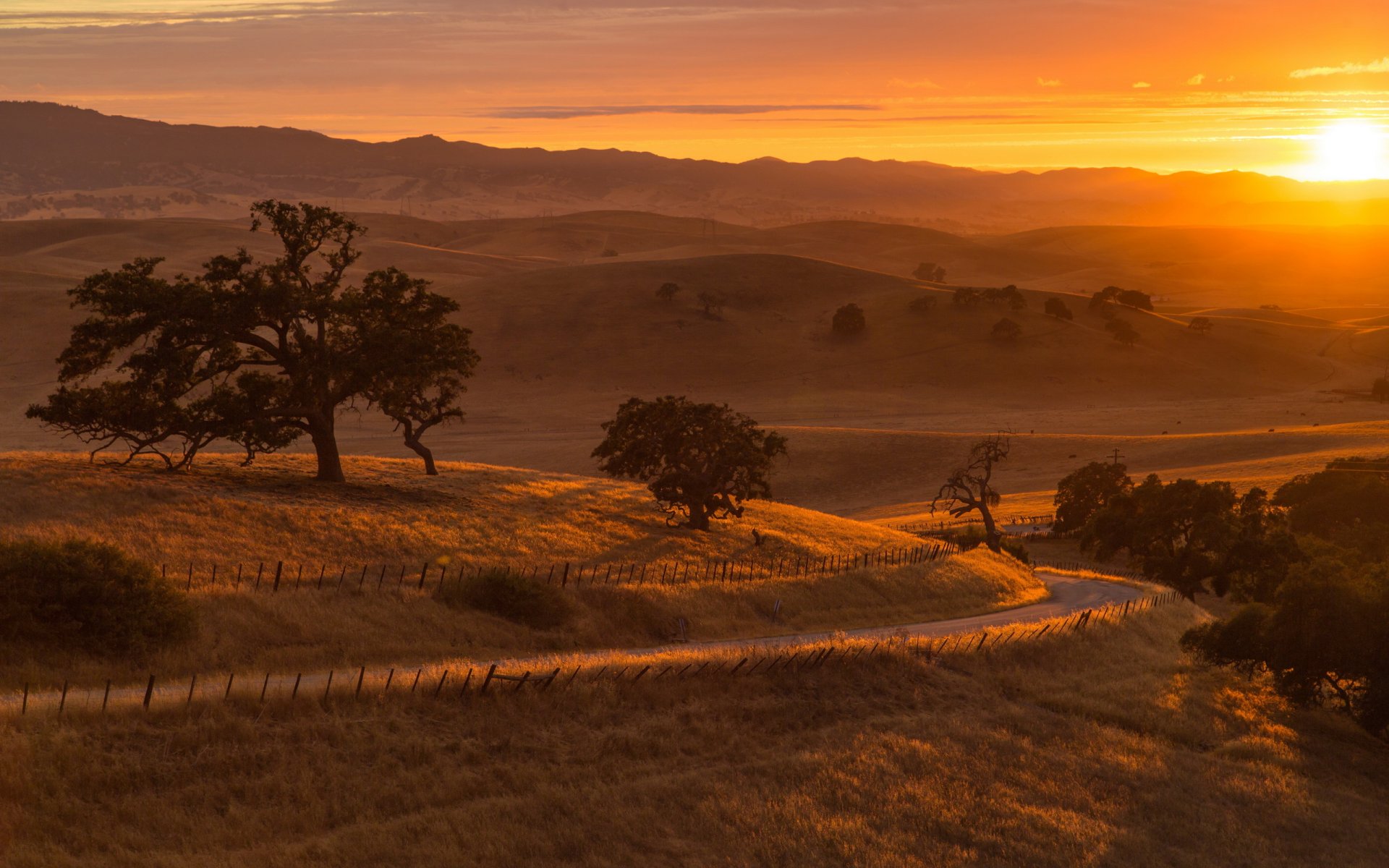 champ route coucher de soleil paysage