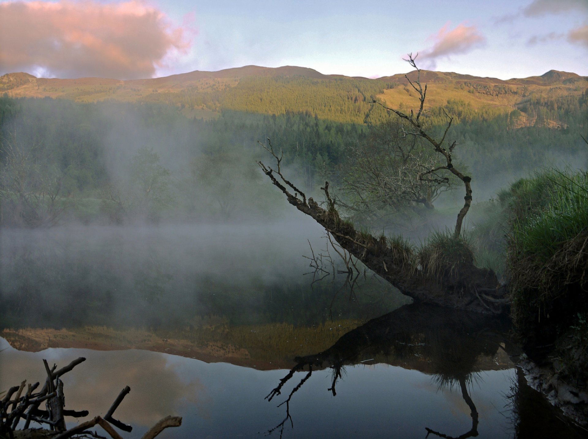 montañas bosque lago niebla