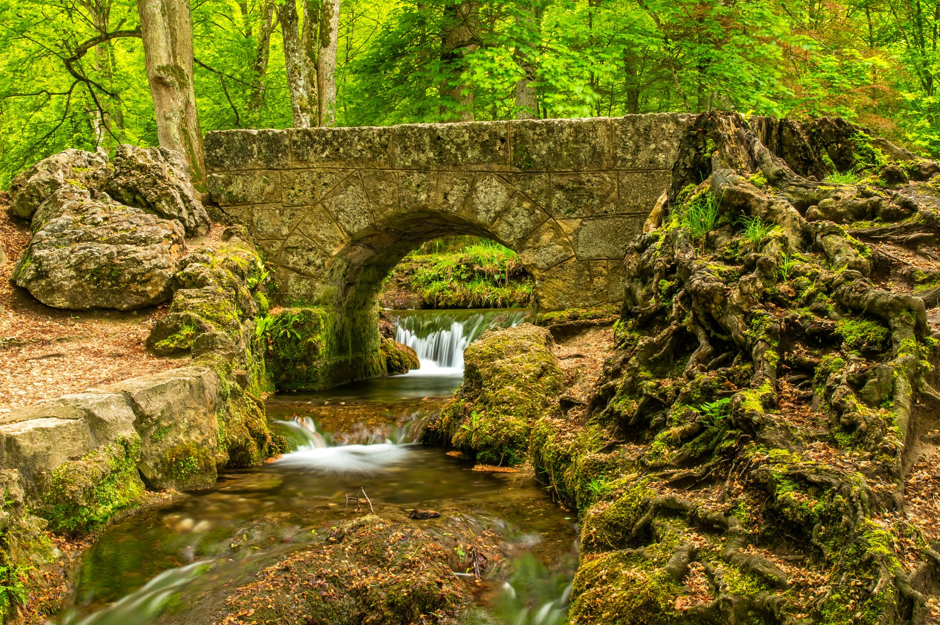 las drzewa park strumień rzeka bystrza most kamienie