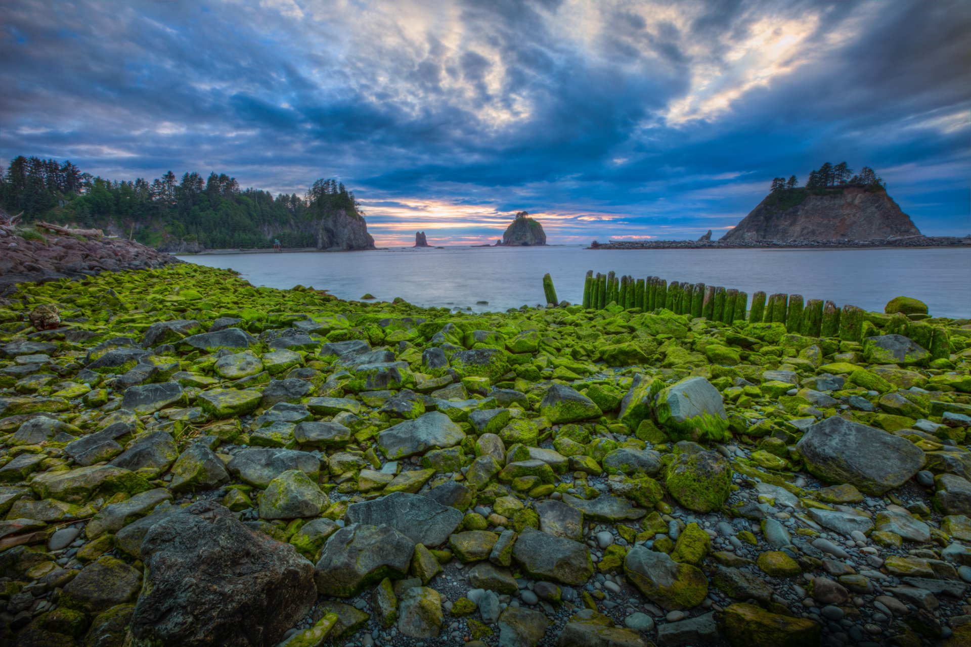 stati uniti parco nazionale cielo nuvole tramonto mare rocce muschio roccia isola alberi natura