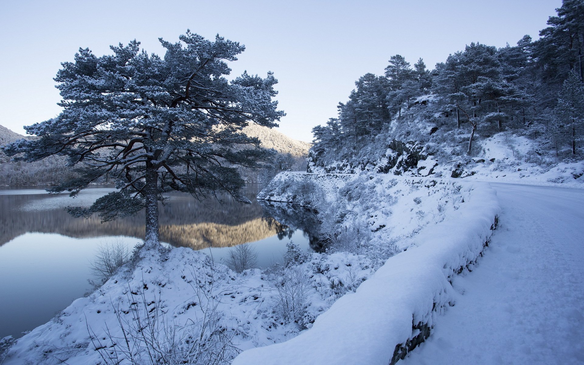 camino río invierno